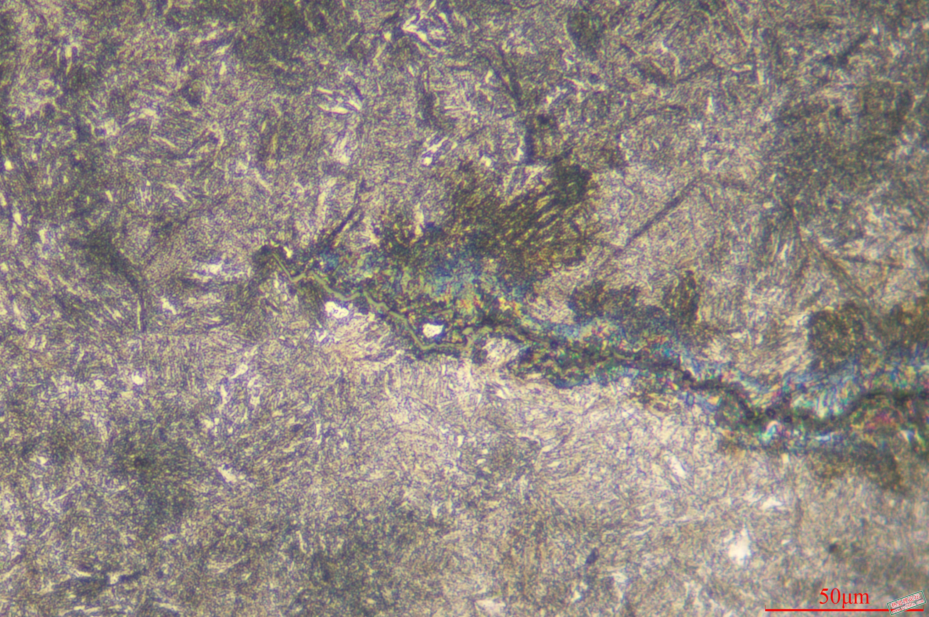 螺栓开裂  裂纹末端 500X(1).jpg