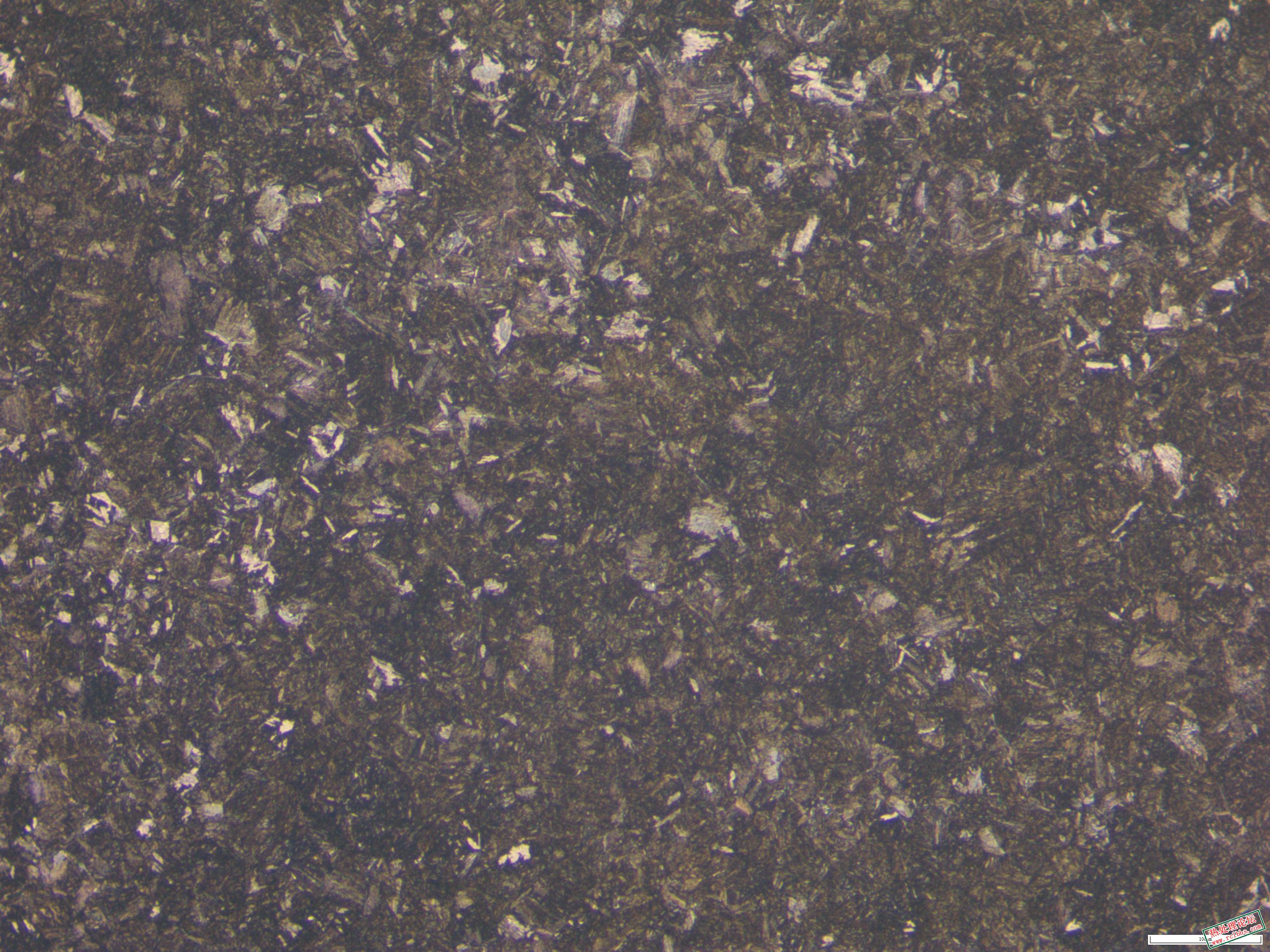 40CrNiMo  880淬油 565回火  100x.JPG