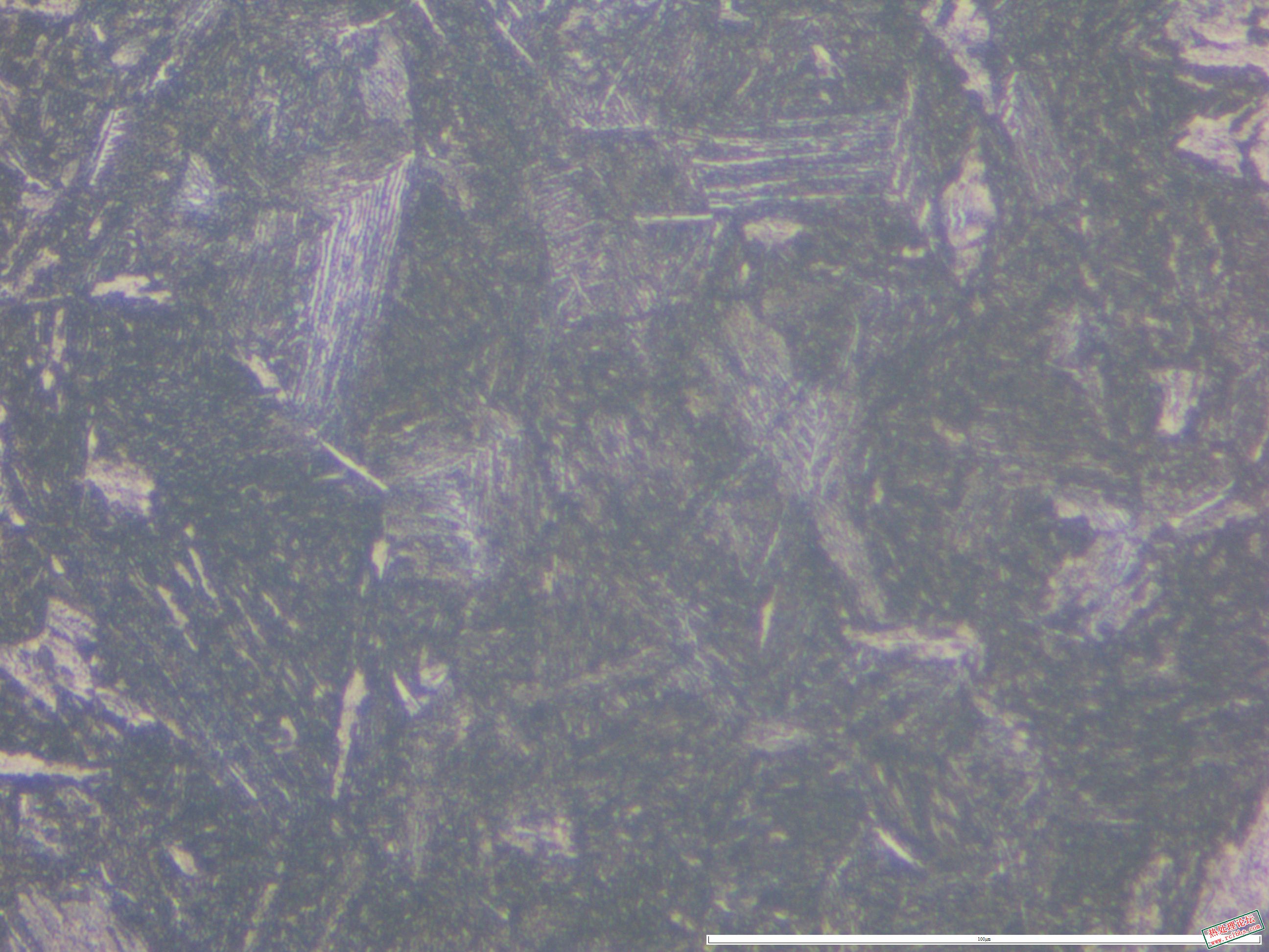 40CrNiMo  880淬油 565回火 500x-03.JPG