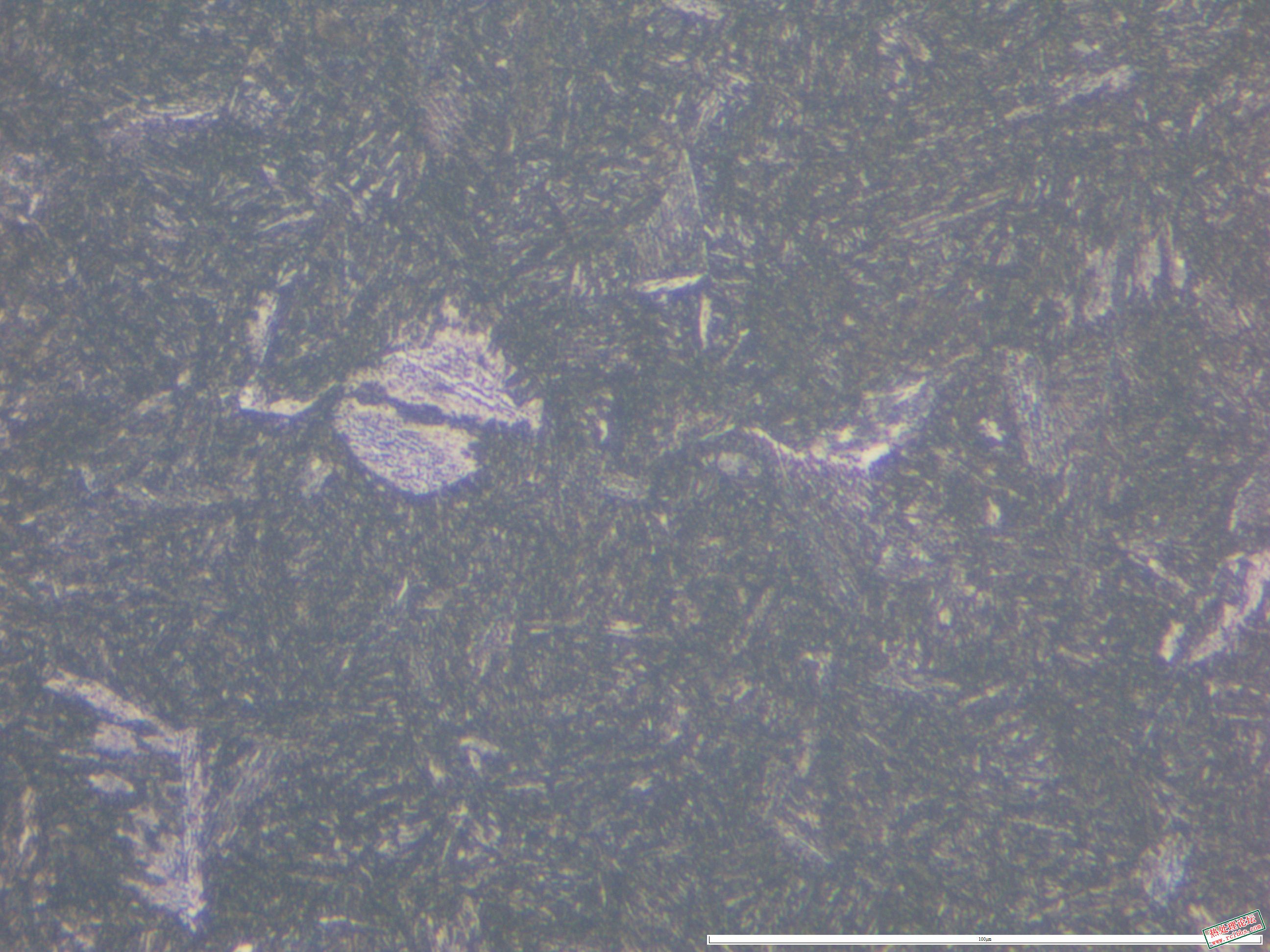 40CrNiMo  880淬油 565回火 500x-04.JPG