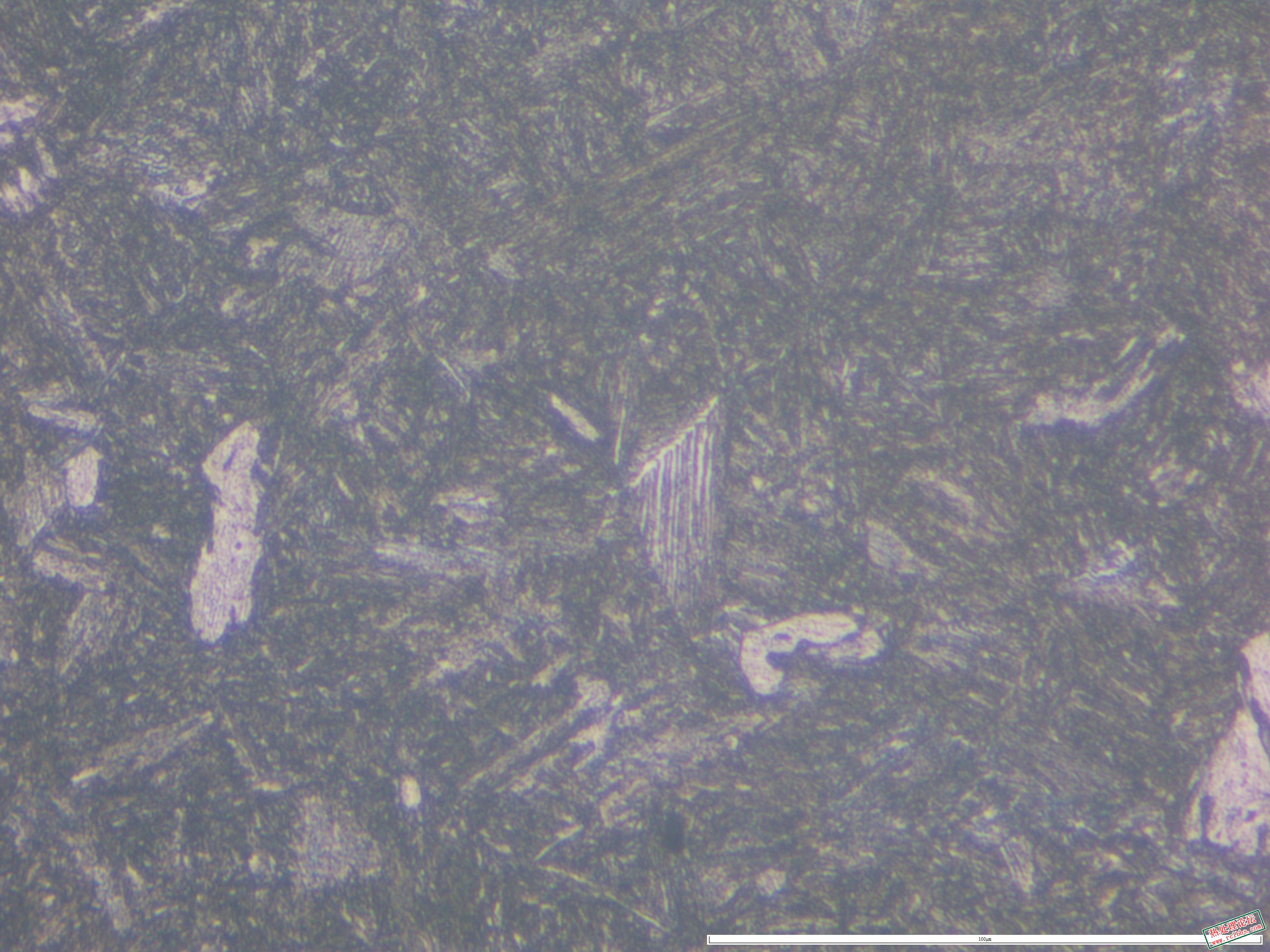 40CrNiMo  880淬油 565回火 500x-06.JPG