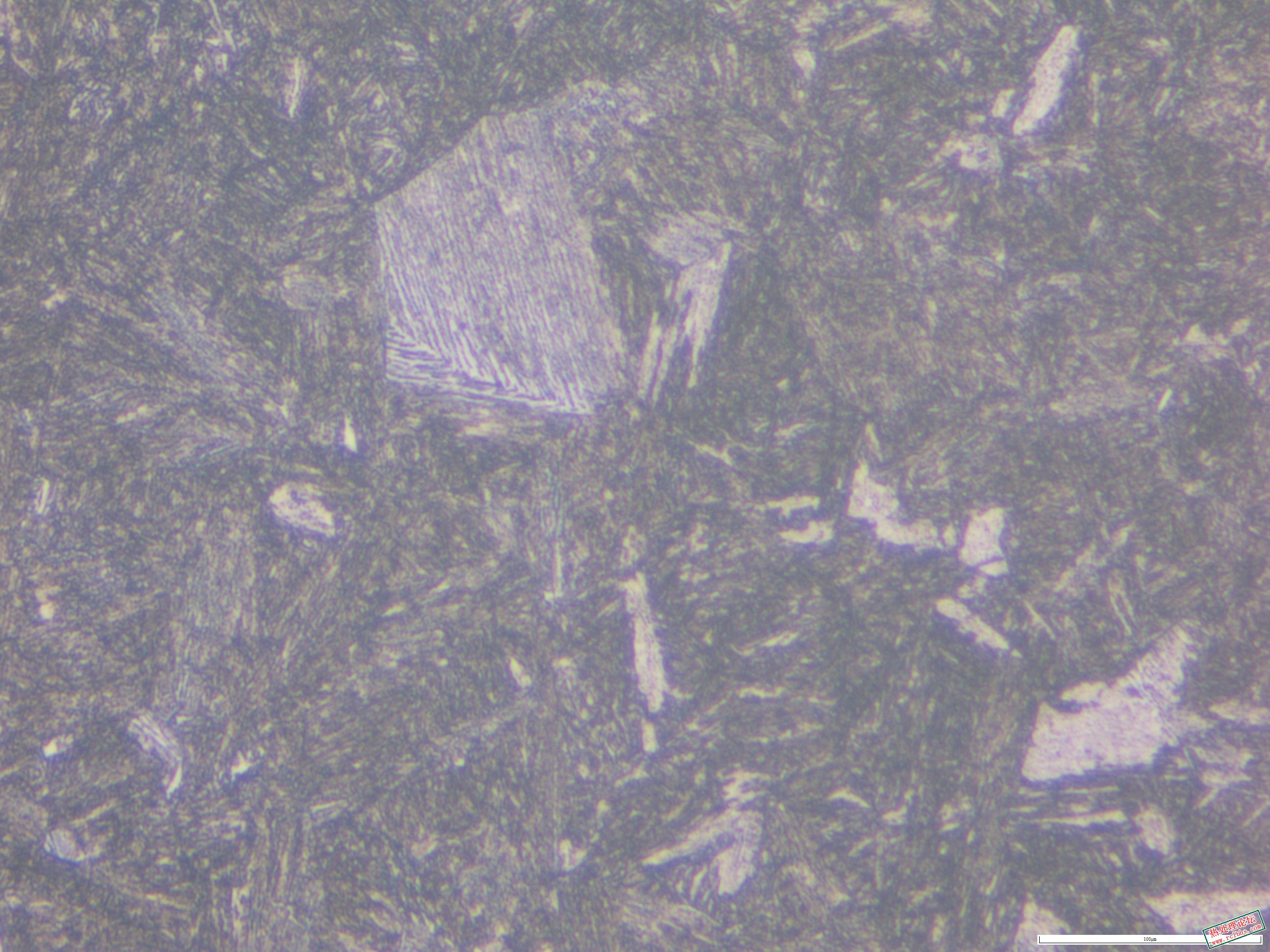 40CrNiMo  880淬油 565回火500x-08.JPG