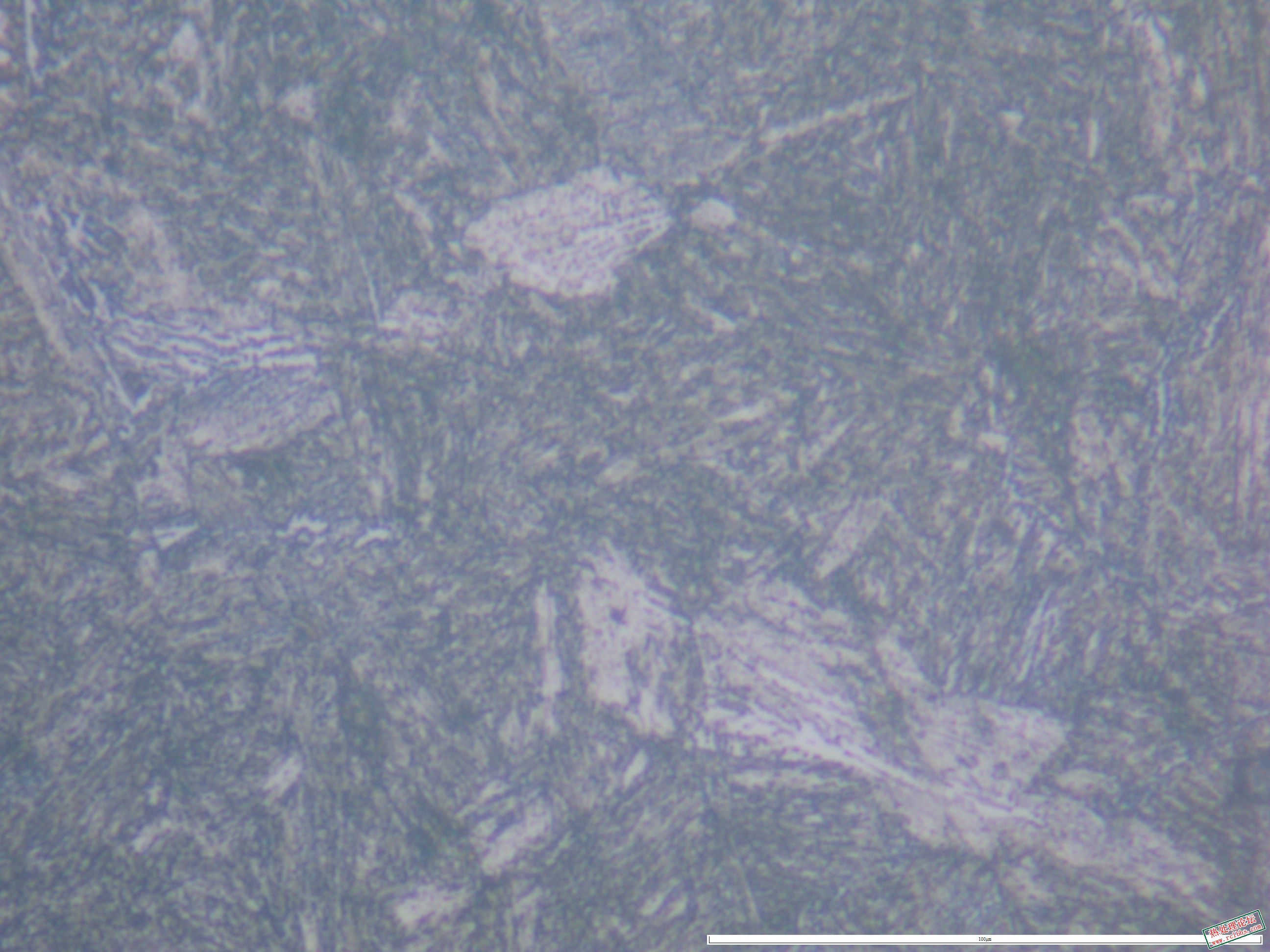 40CrNiMo  880淬油 565回火1000x-07.JPG