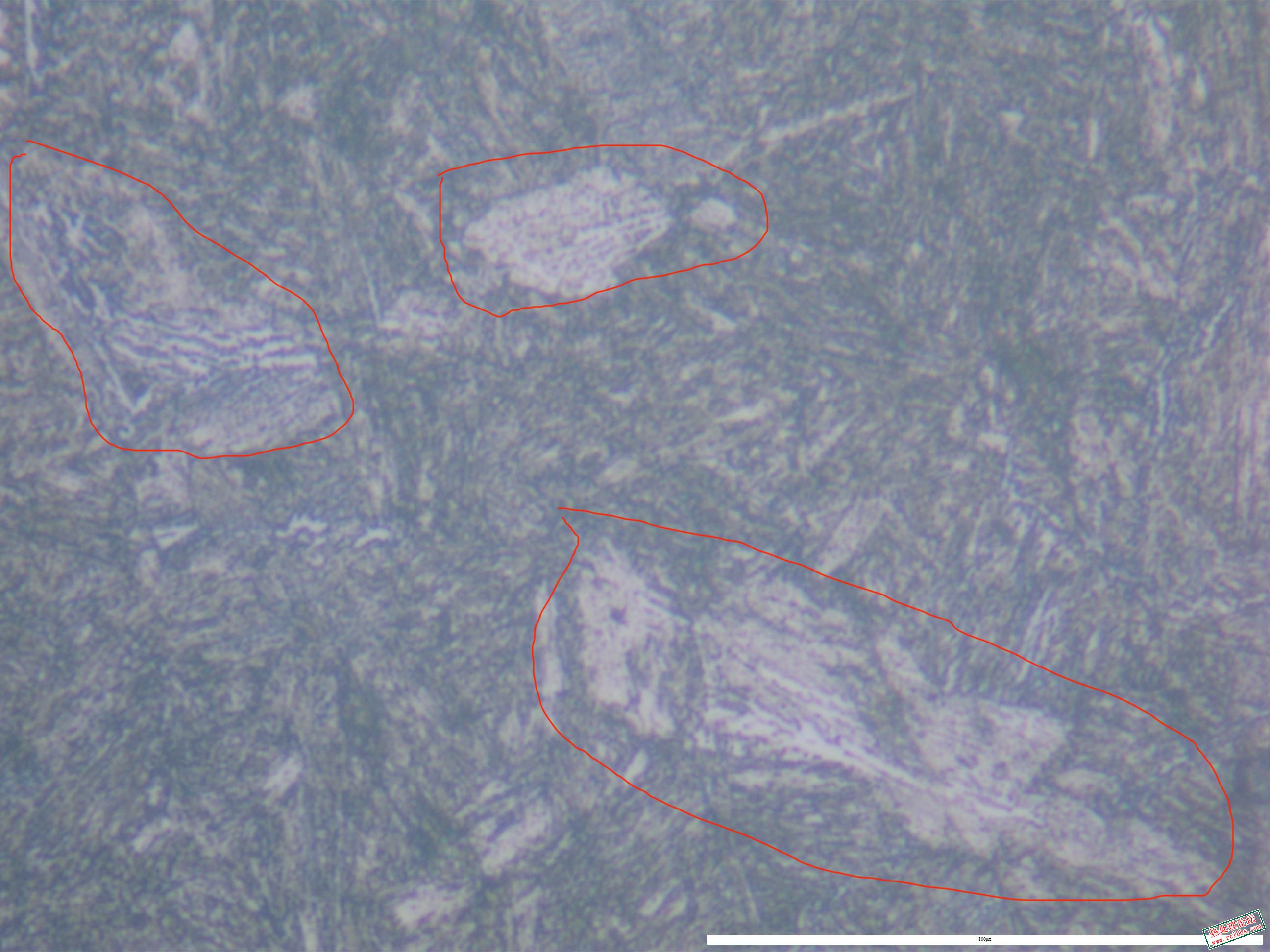 40CrNiMo  880淬油 565回火1000x-07.JPG