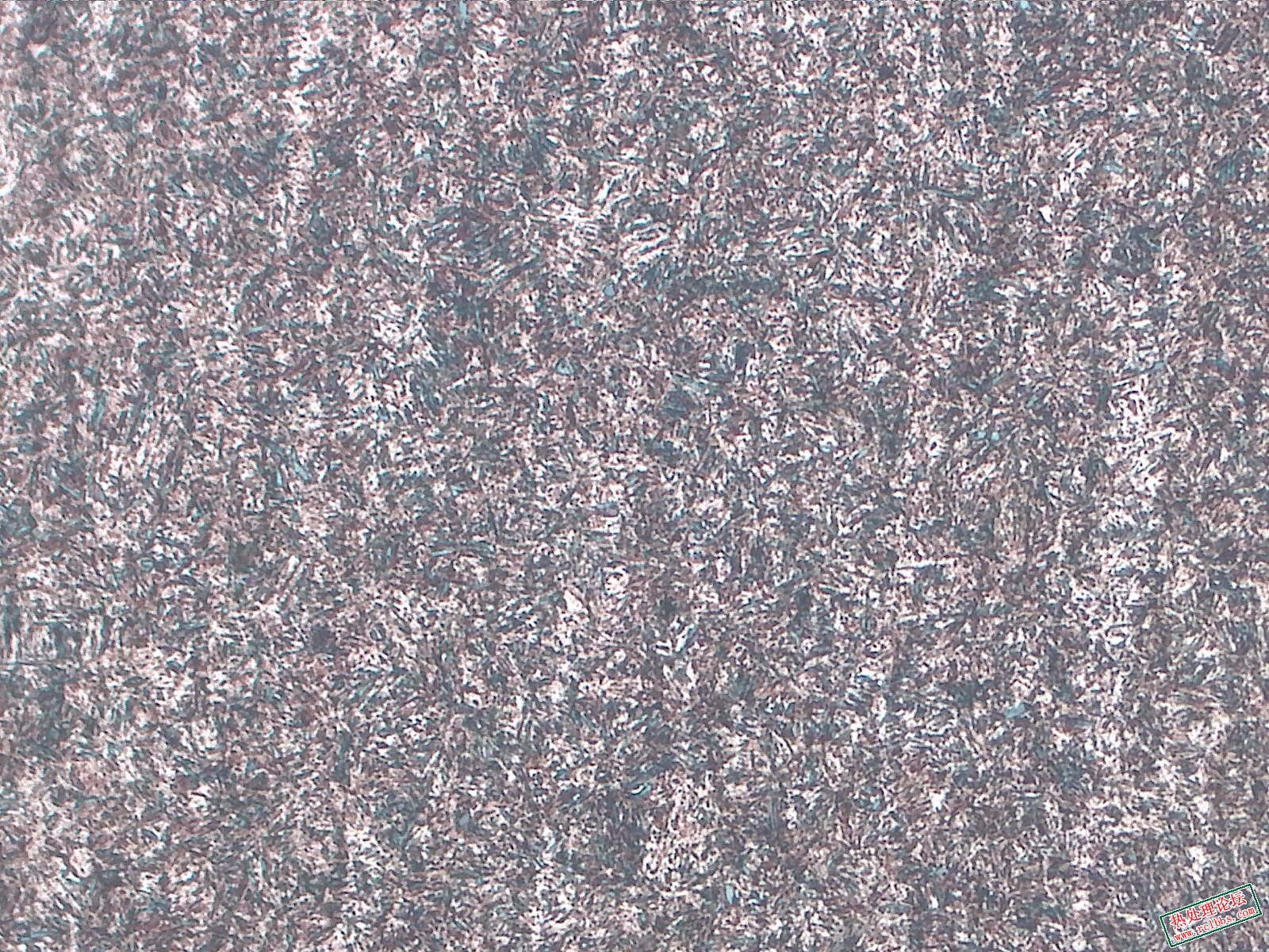 纵向-腐蚀-100X-1-距边缘1.0-1.5mm.jpg