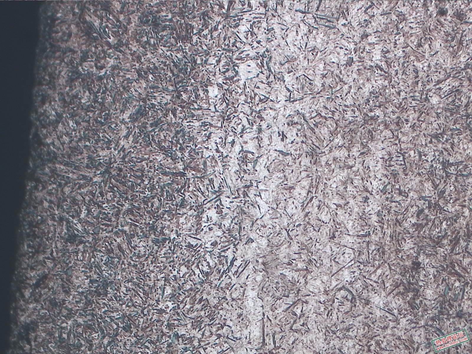 纵向-腐蚀-100X-1-其他-2-距边缘0.5mm以内.jpg