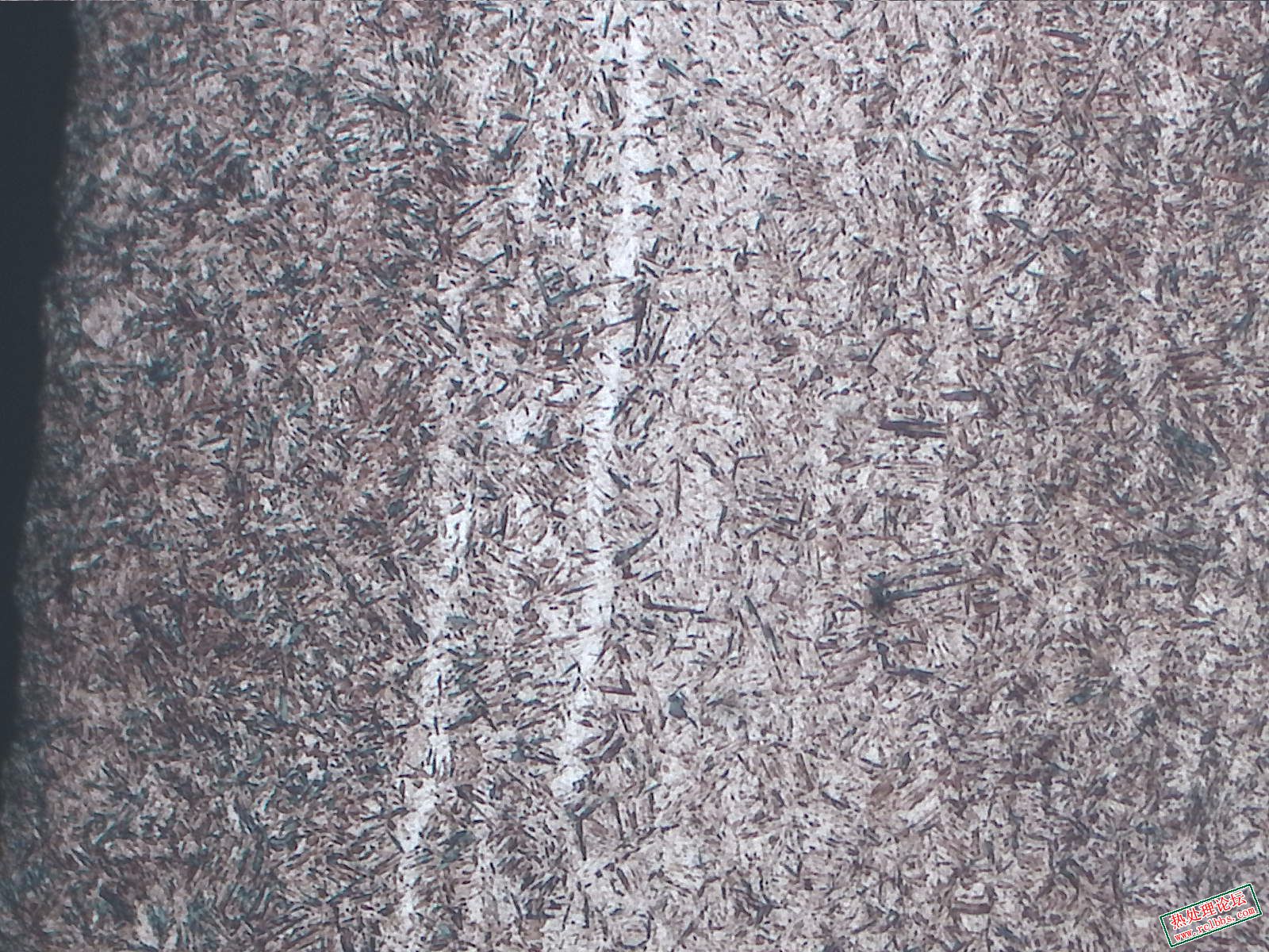 纵向-腐蚀-100X-1-其他-1-距边缘0.5mm以内.jpg