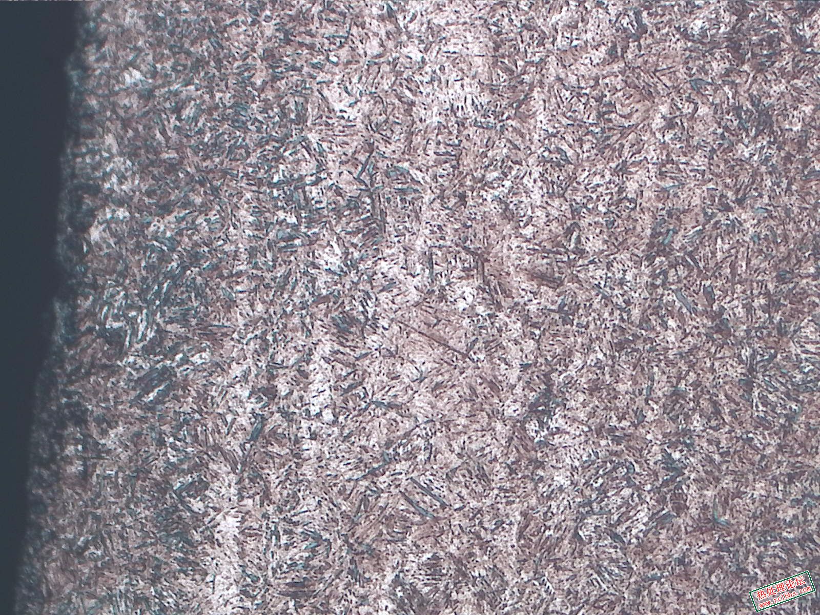 纵向-腐蚀-100X-1-正常区域-距边缘0.5mm以内.jpg