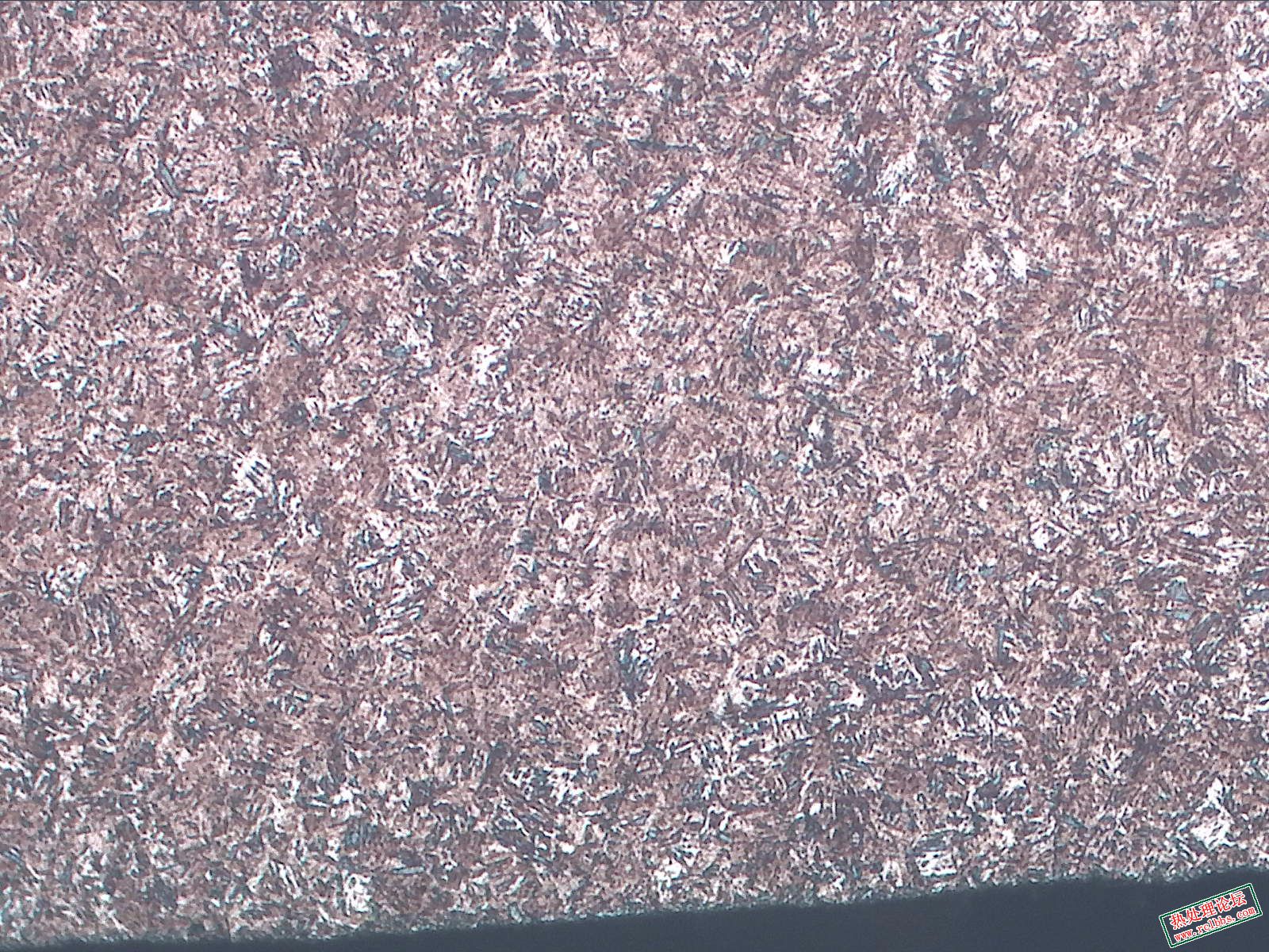 横向-腐蚀-100X-1-边缘.jpg