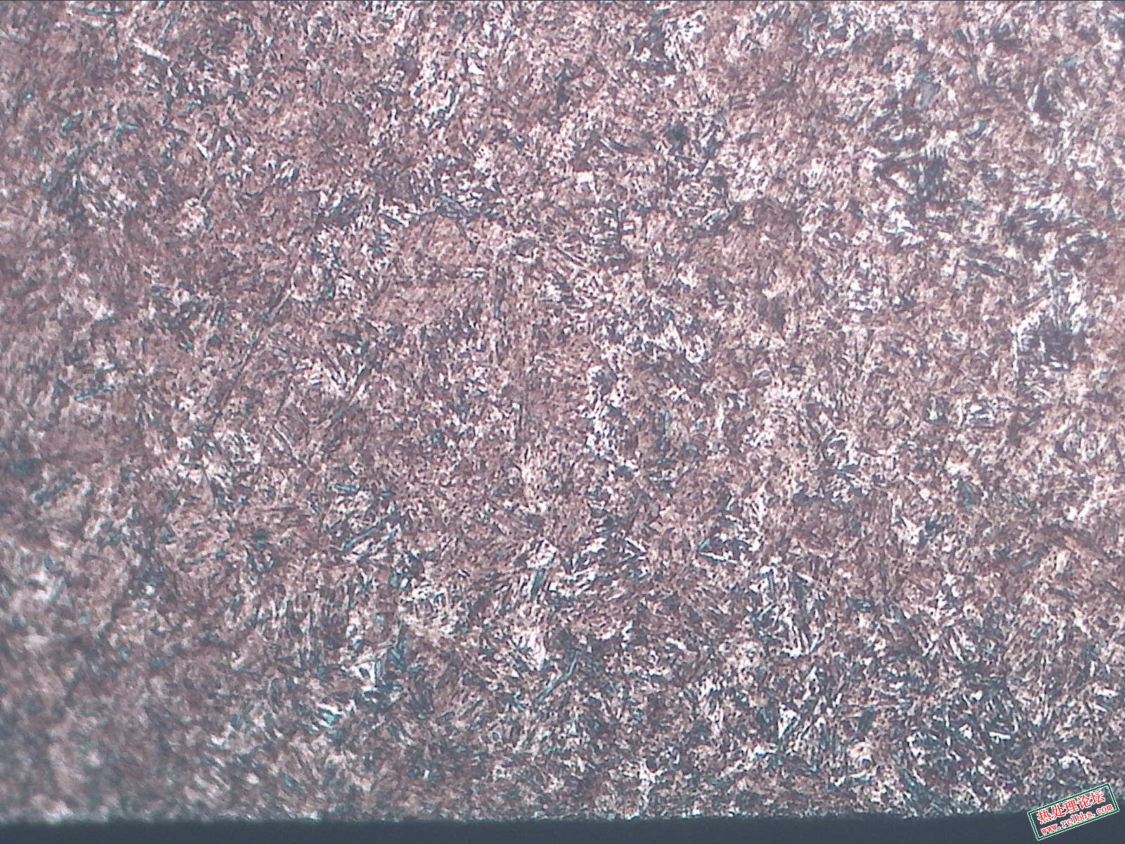 横向-腐蚀-100X-2-边缘.jpg