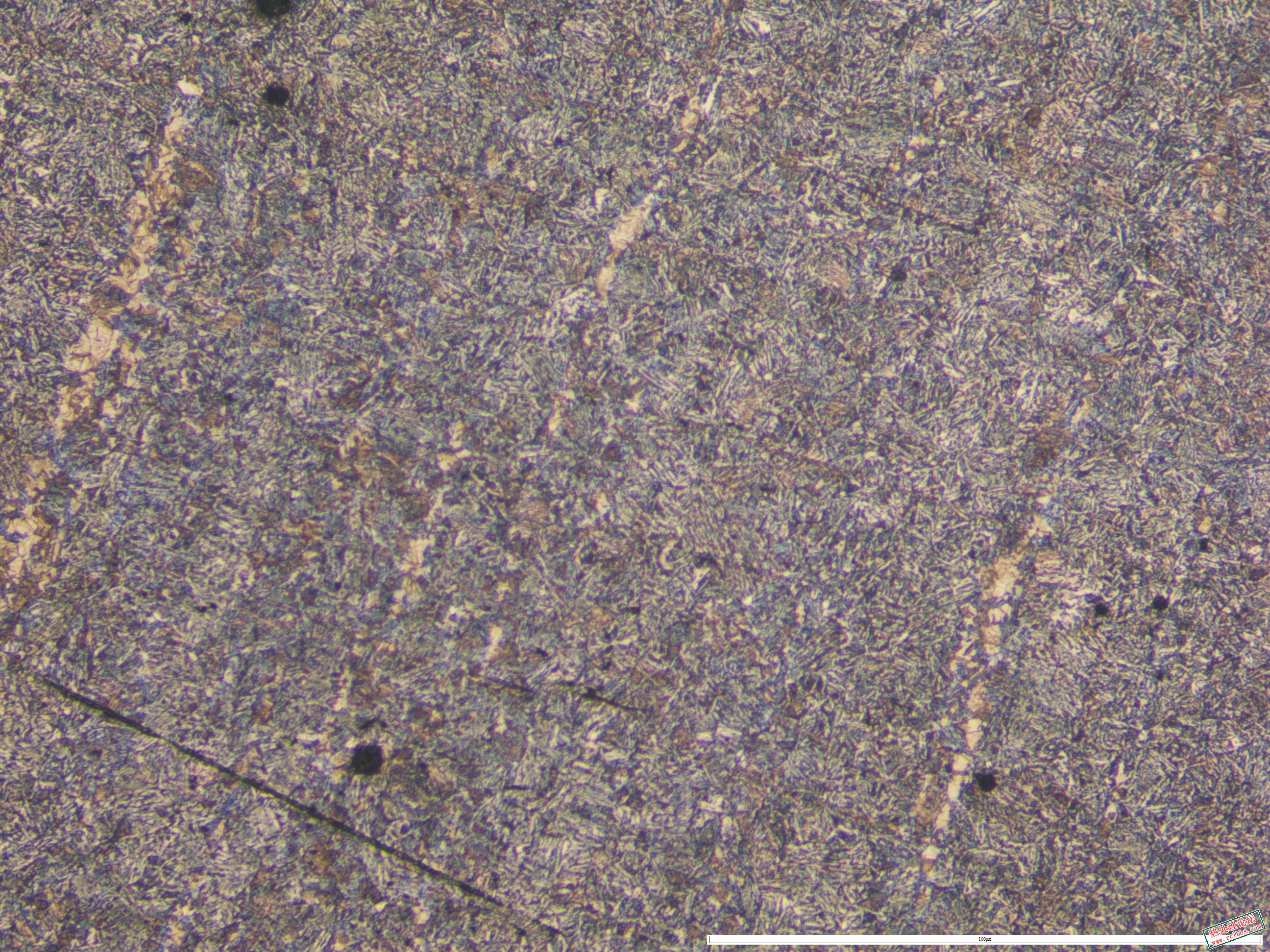 40CrNiMo  件1  880正火  100x 01.JPG