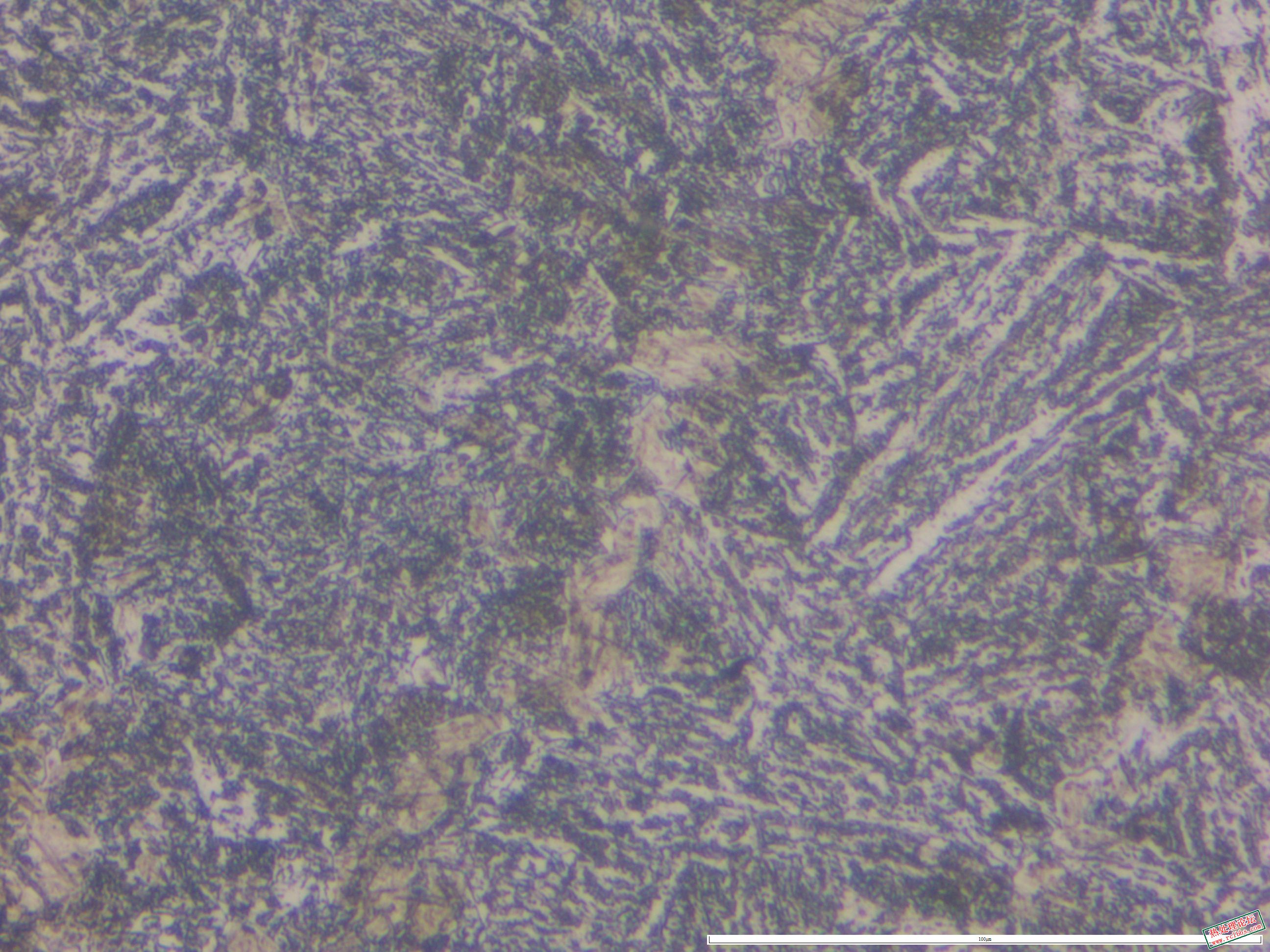 40CrNiMo 件1  880正火500x 01.JPG