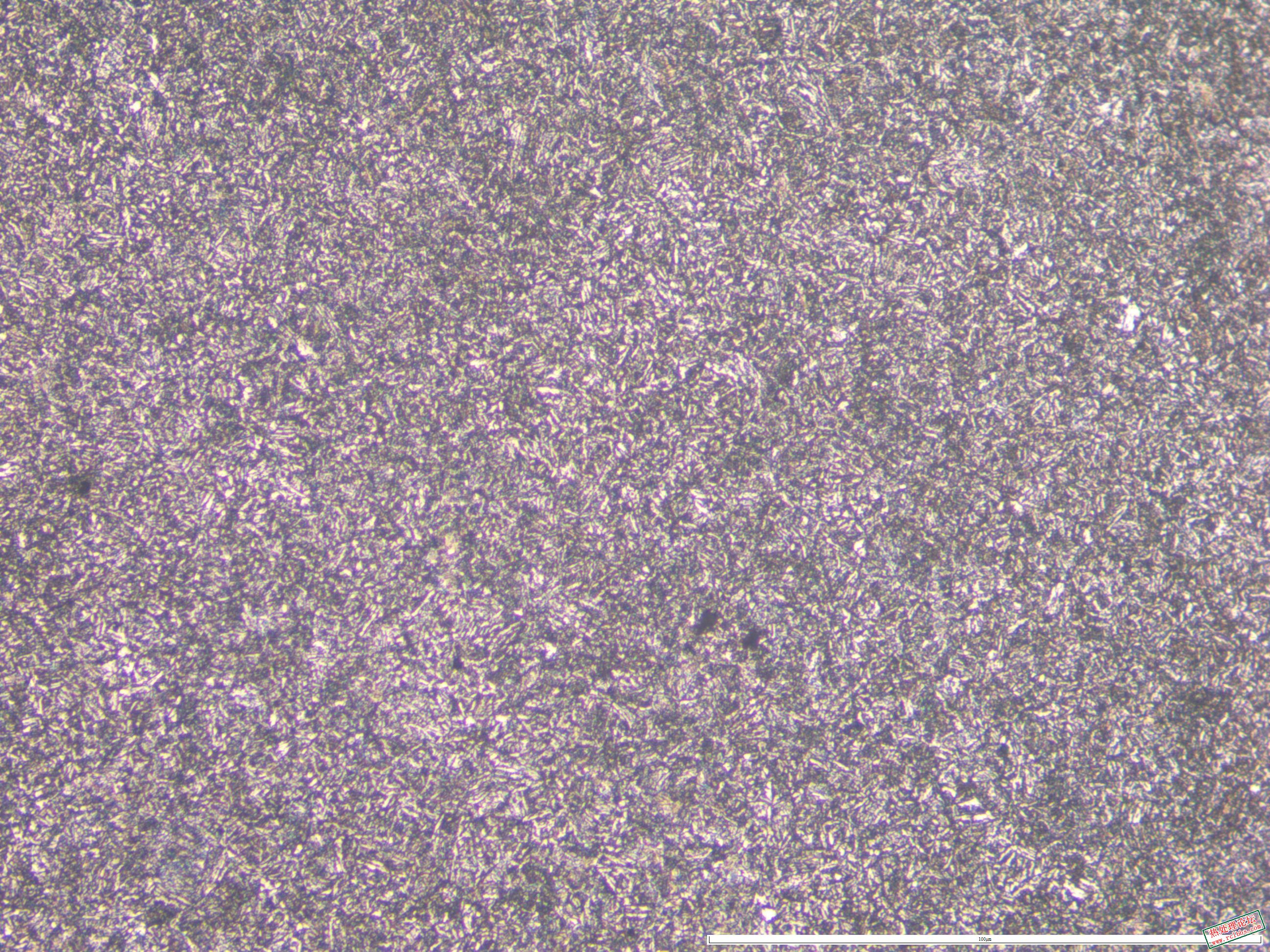 40CrNiMo  件2 880正火100x 01.JPG
