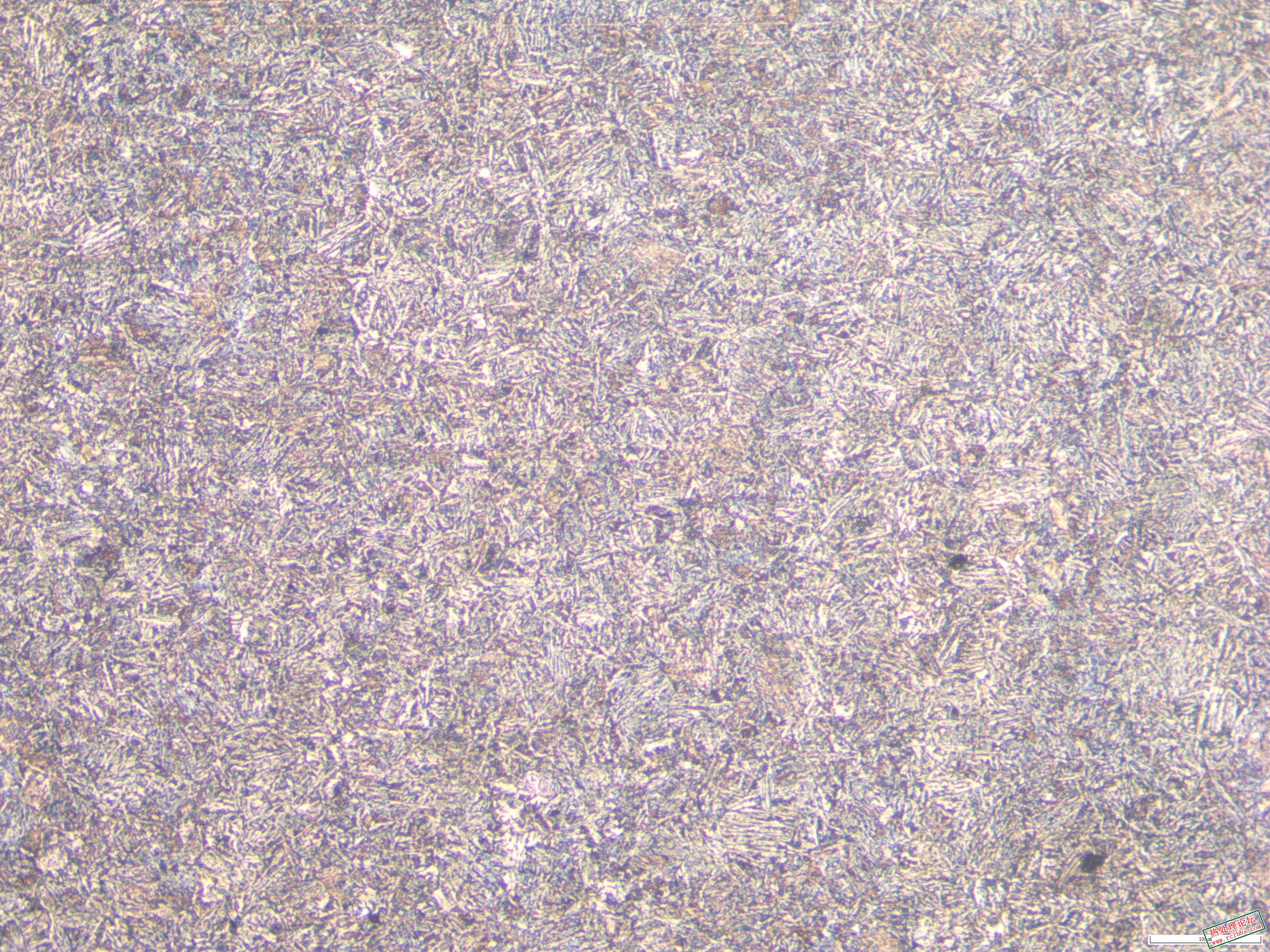40CrNiMo  件3 880正火100x 01.JPG