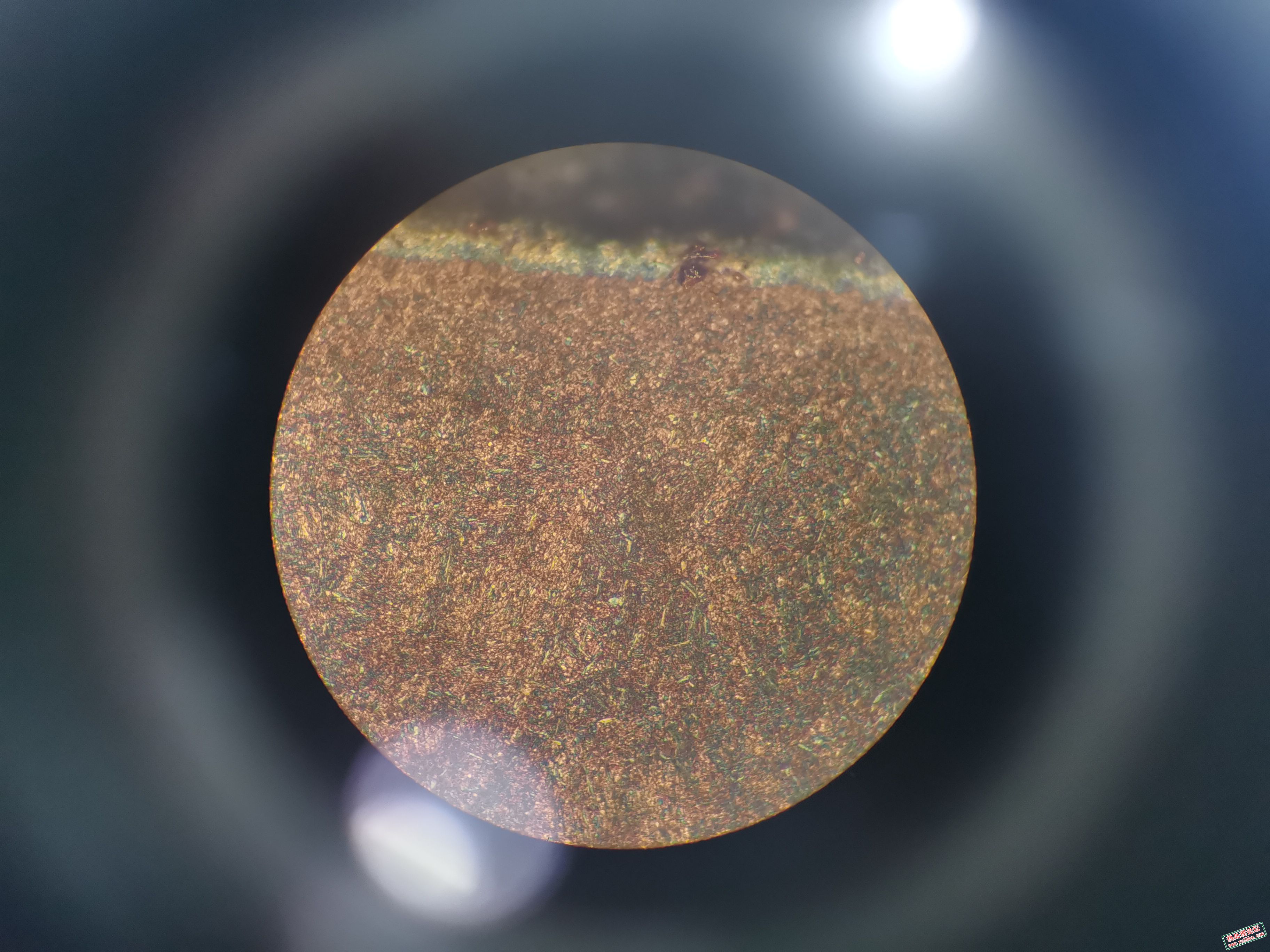 表面组织 500x