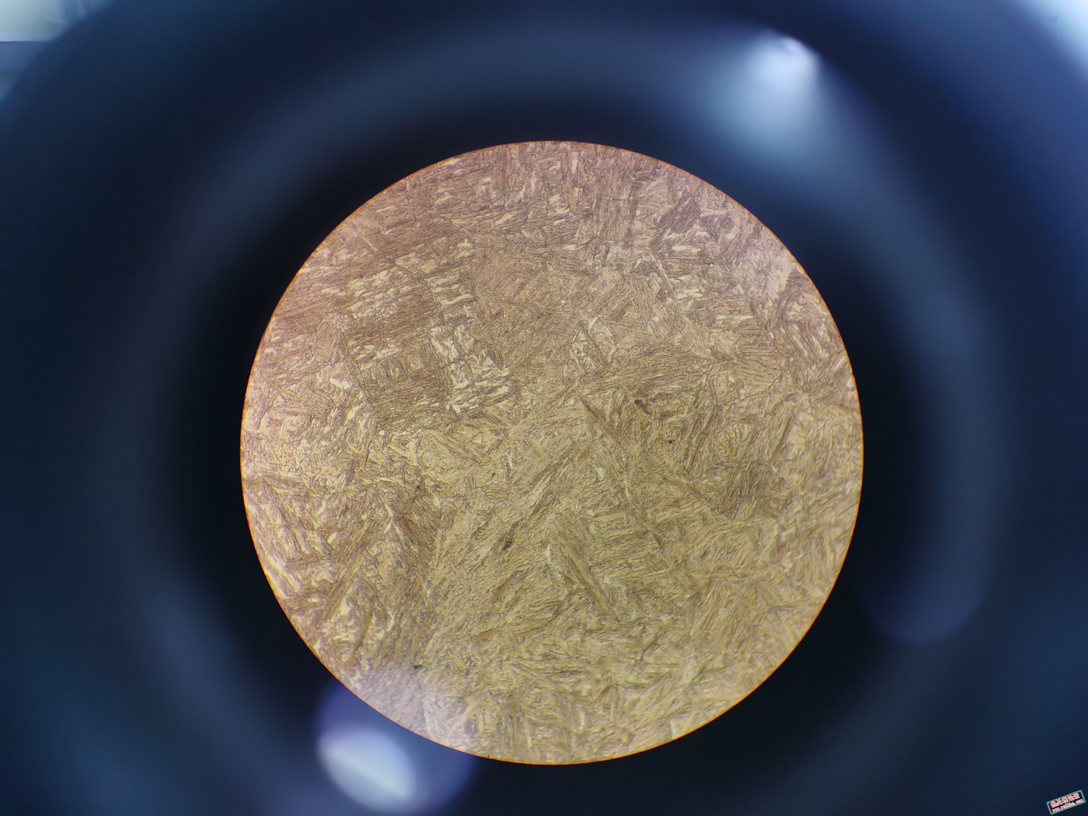 芯部组织-1 500x