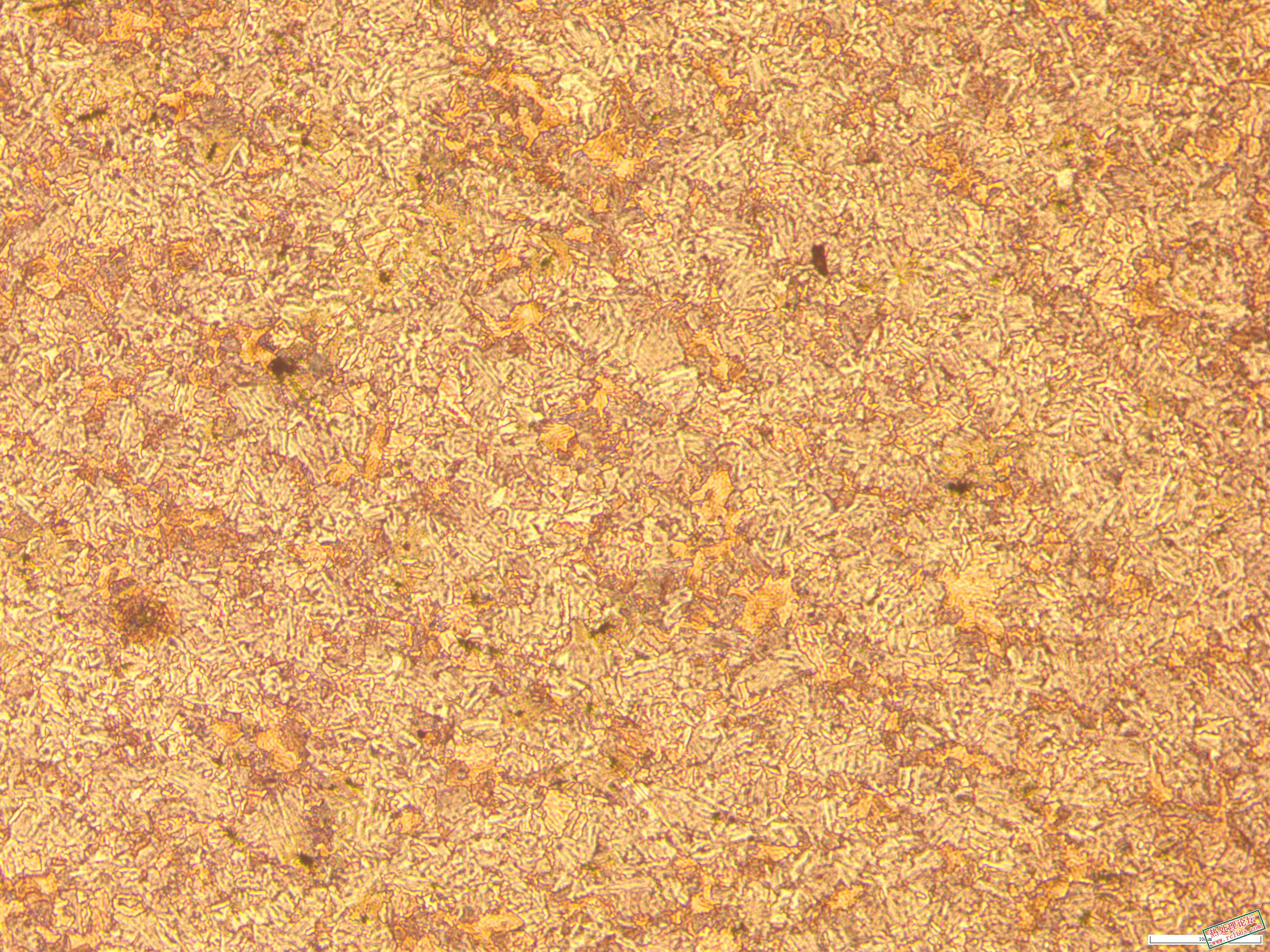 55mm  40CrNiMo原材料  100x-1.JPG