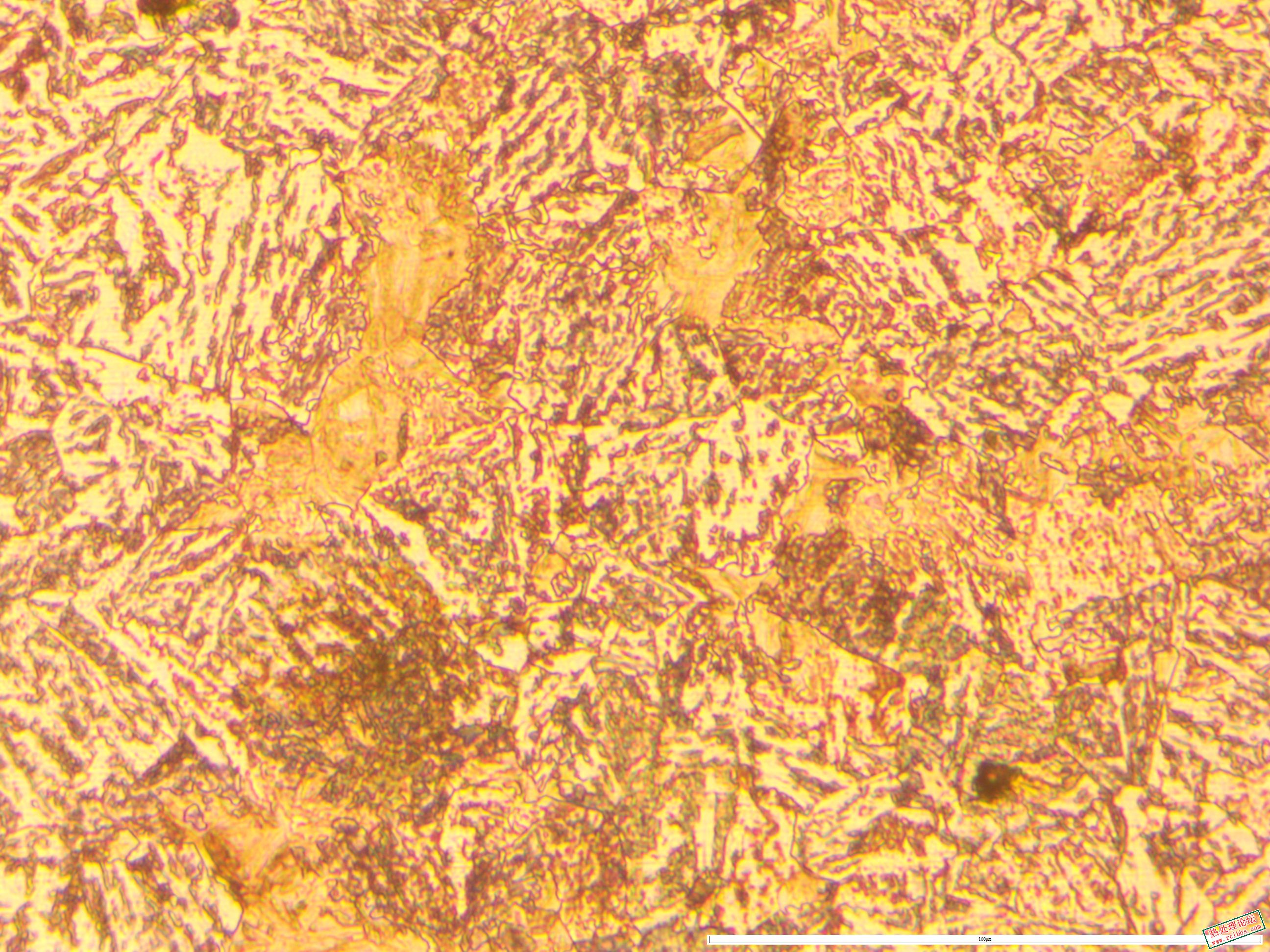 55mm  40CrNiMo原材料 500x-1.JPG