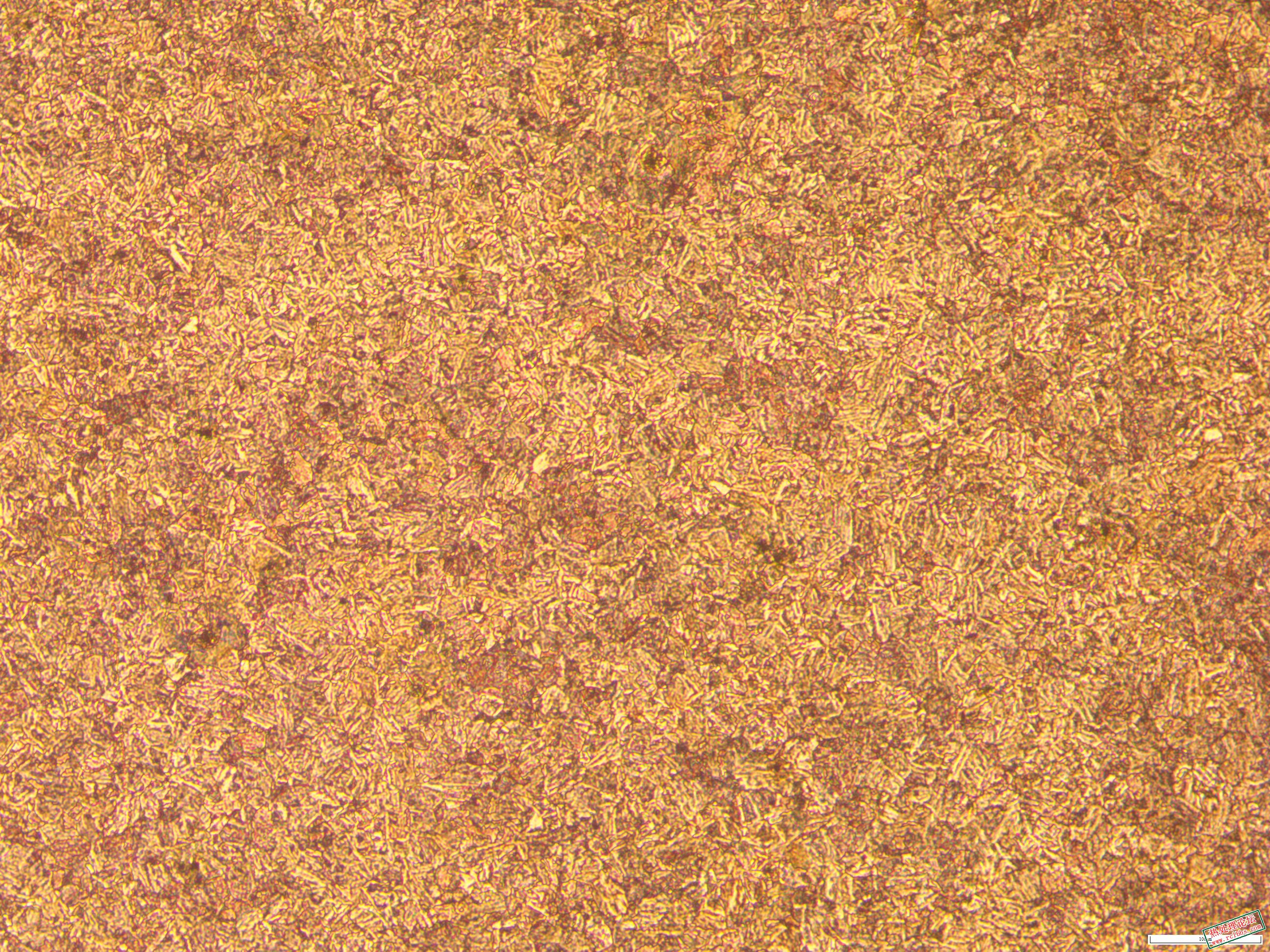 65mm  40CrNiMo原材料 100x-1.JPG