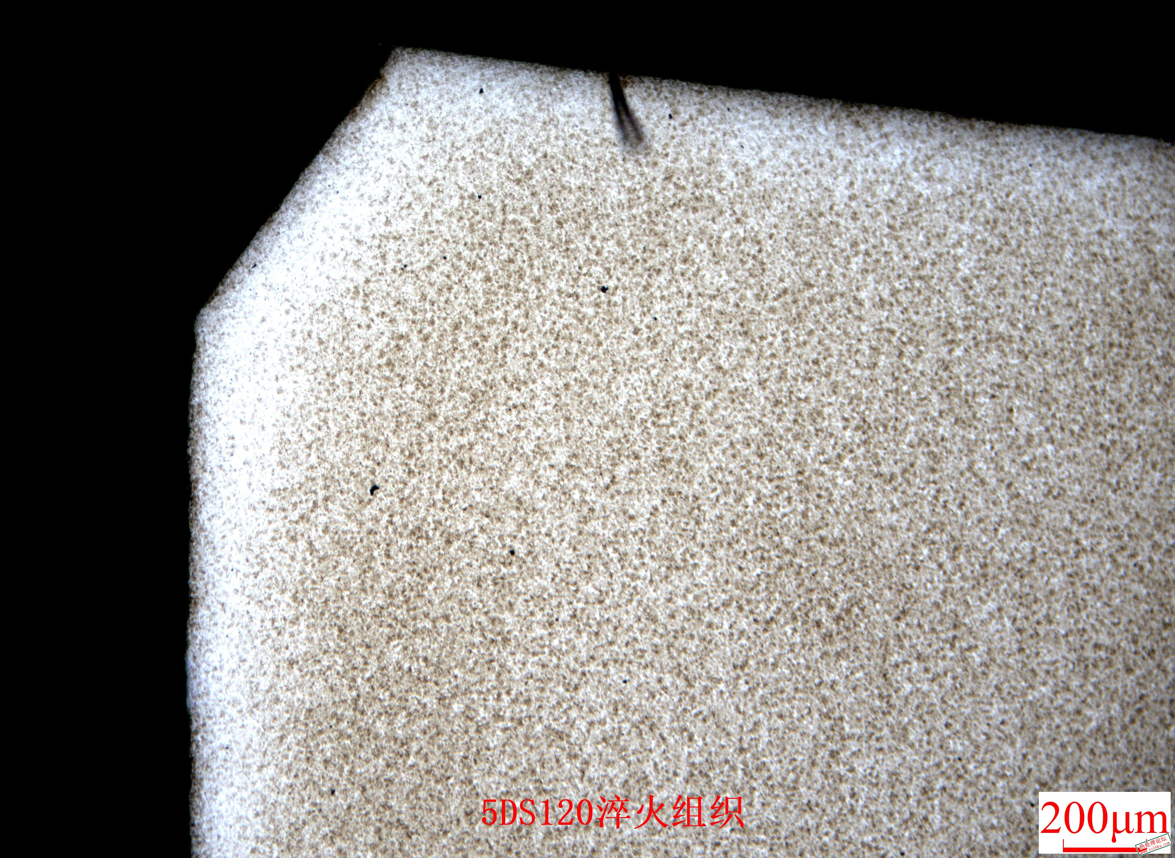 5DS120淬火组织内锥50-2.JPG