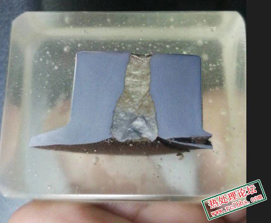 金相纵向样