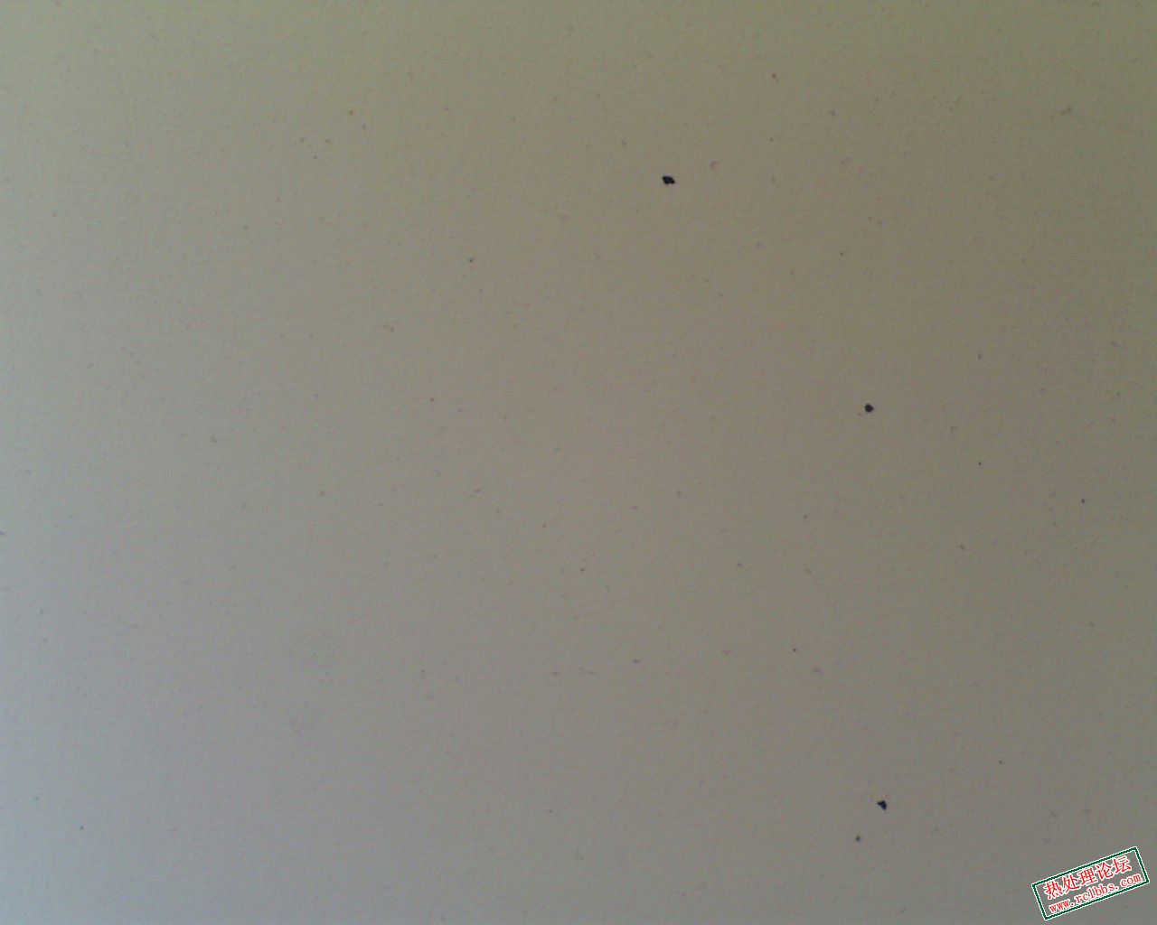 非金属夹杂