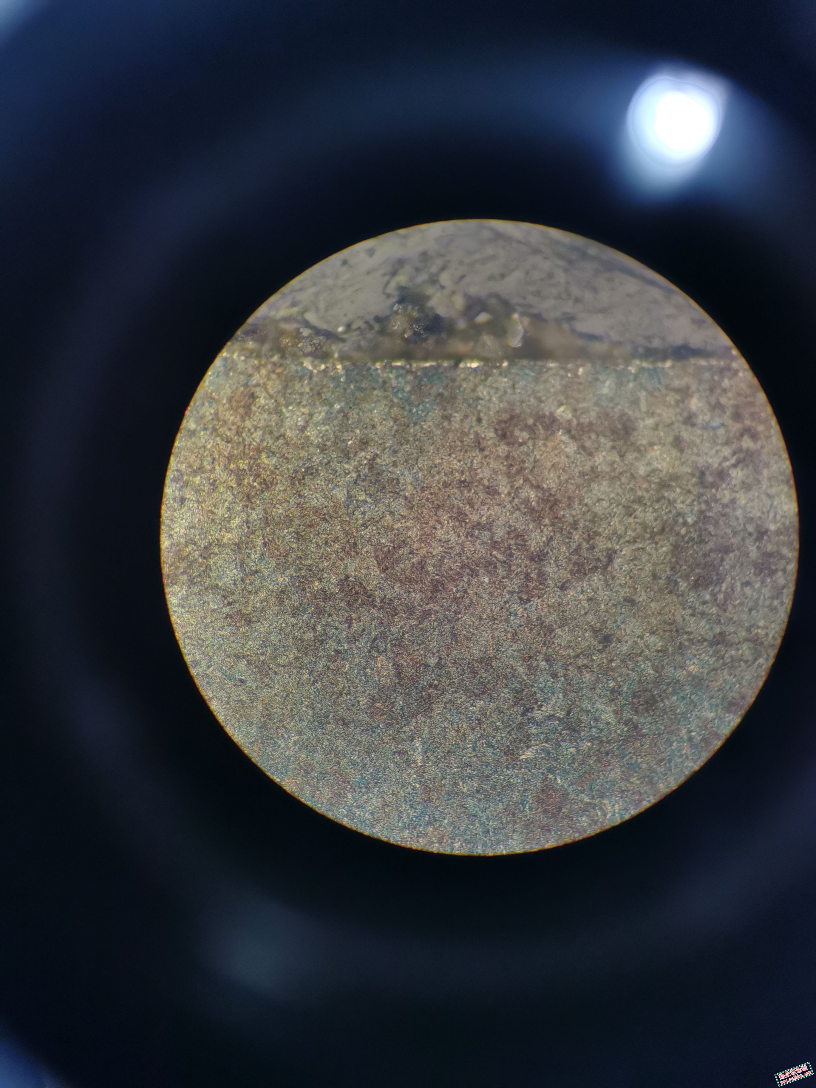 表面组织，400x