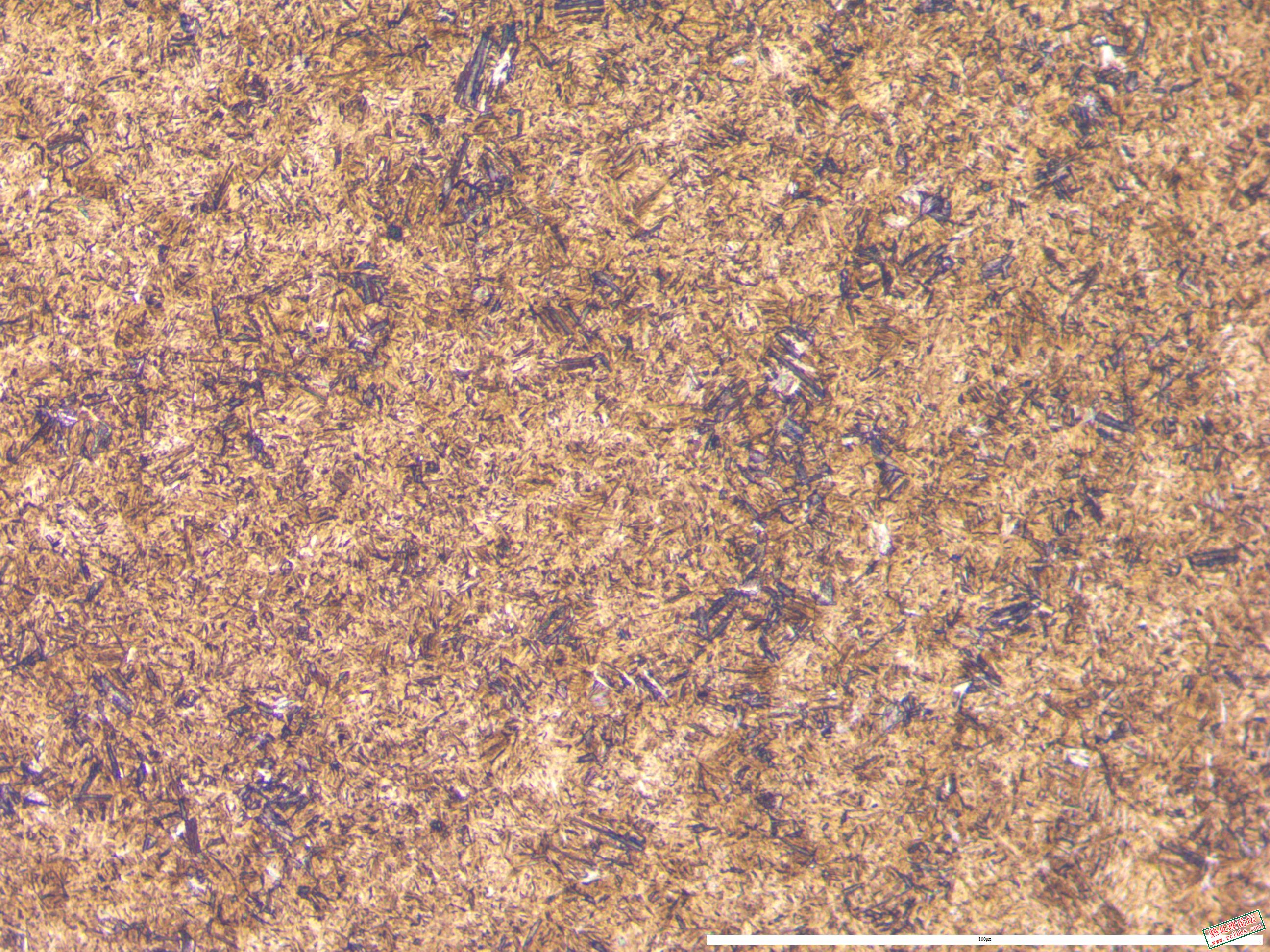 40CrNiMo锻件 淬火  100x-1.JPG