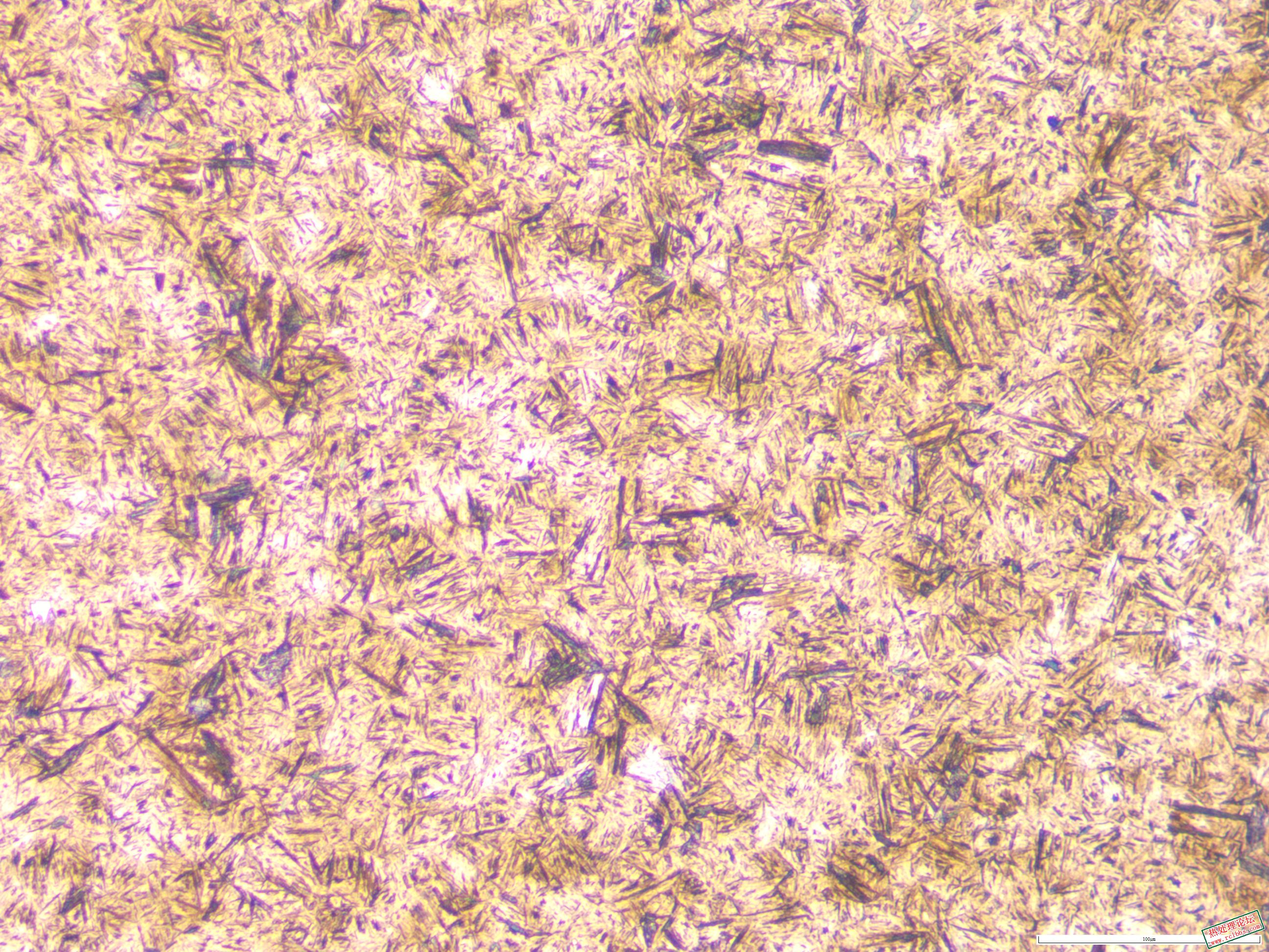 40CrNiMo锻件 淬火  200x-1.JPG