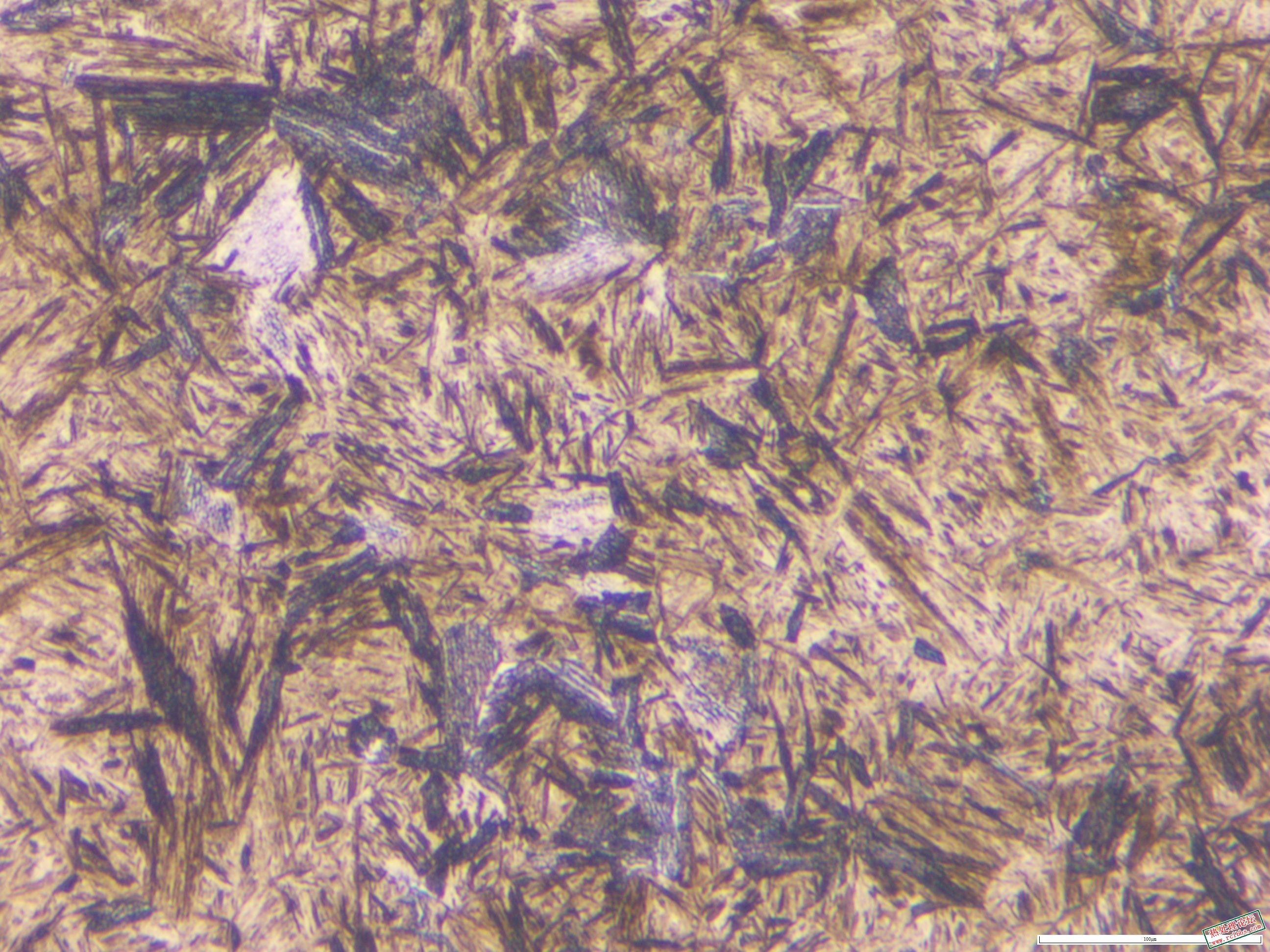 40CrNiMo锻件 淬火  500x-2.JPG