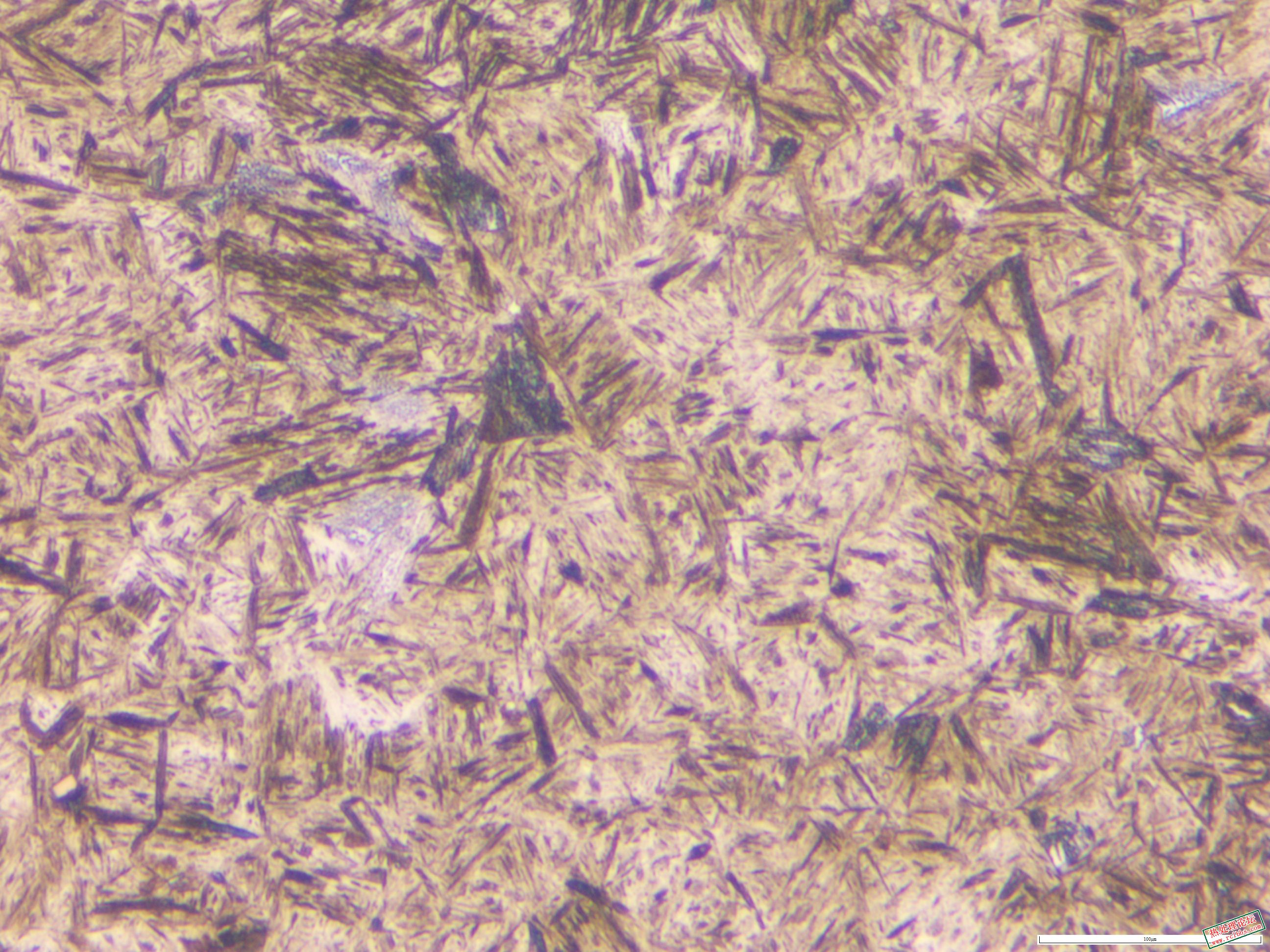 40CrNiMo锻件 淬火  500x-3.JPG
