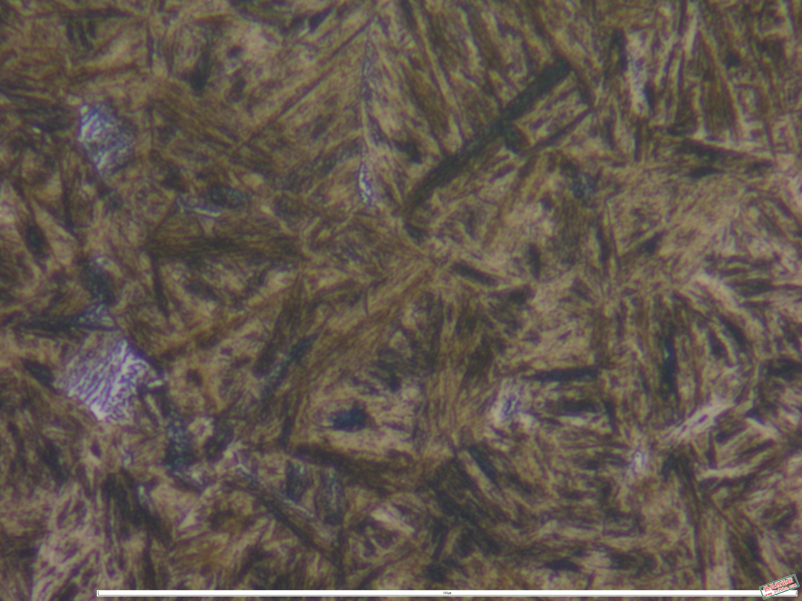 40CrNiMo锻件 淬火  1000x-4.JPG
