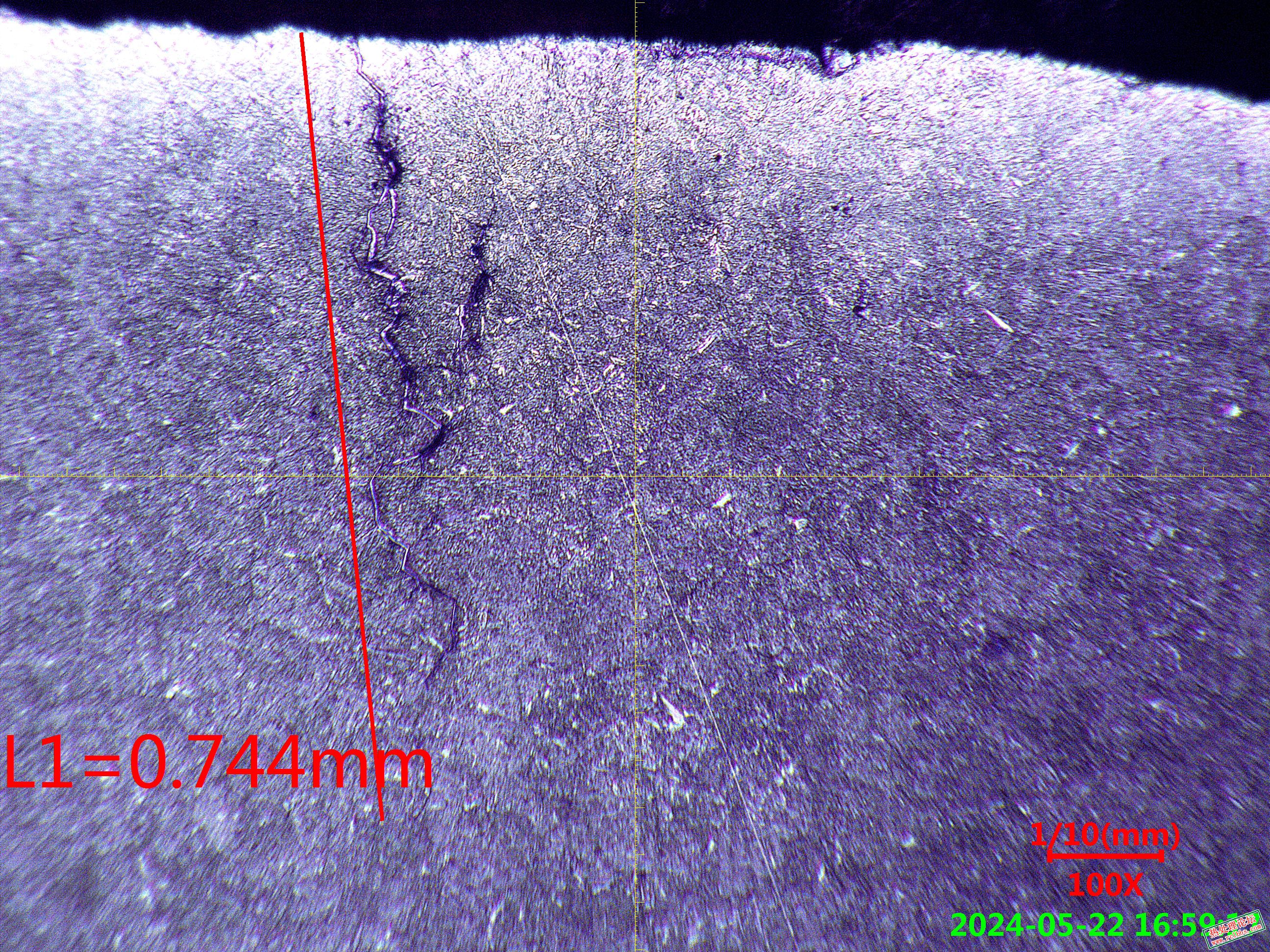 裂纹放大100倍是整体形貌