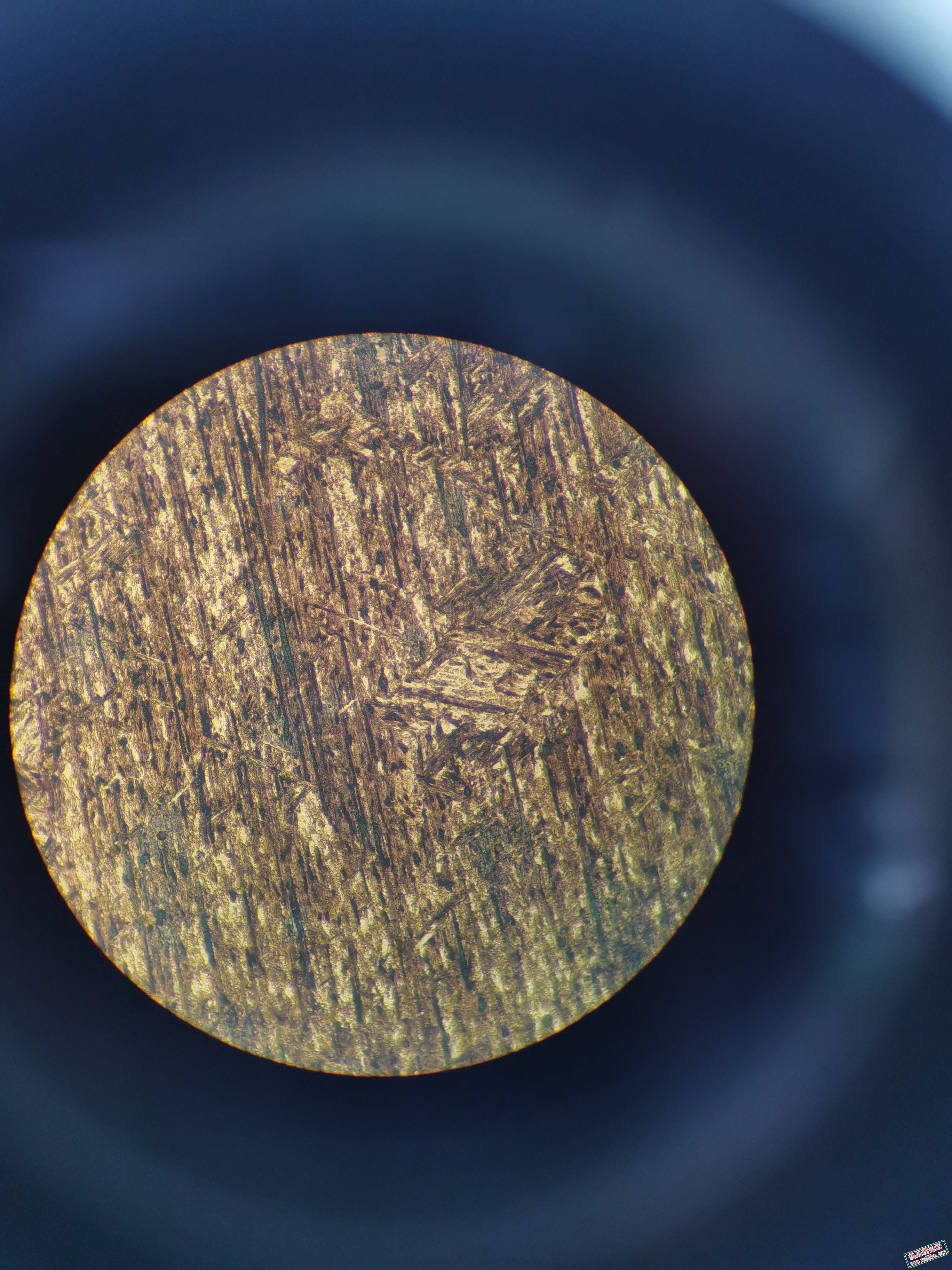 400x     手机拍摄