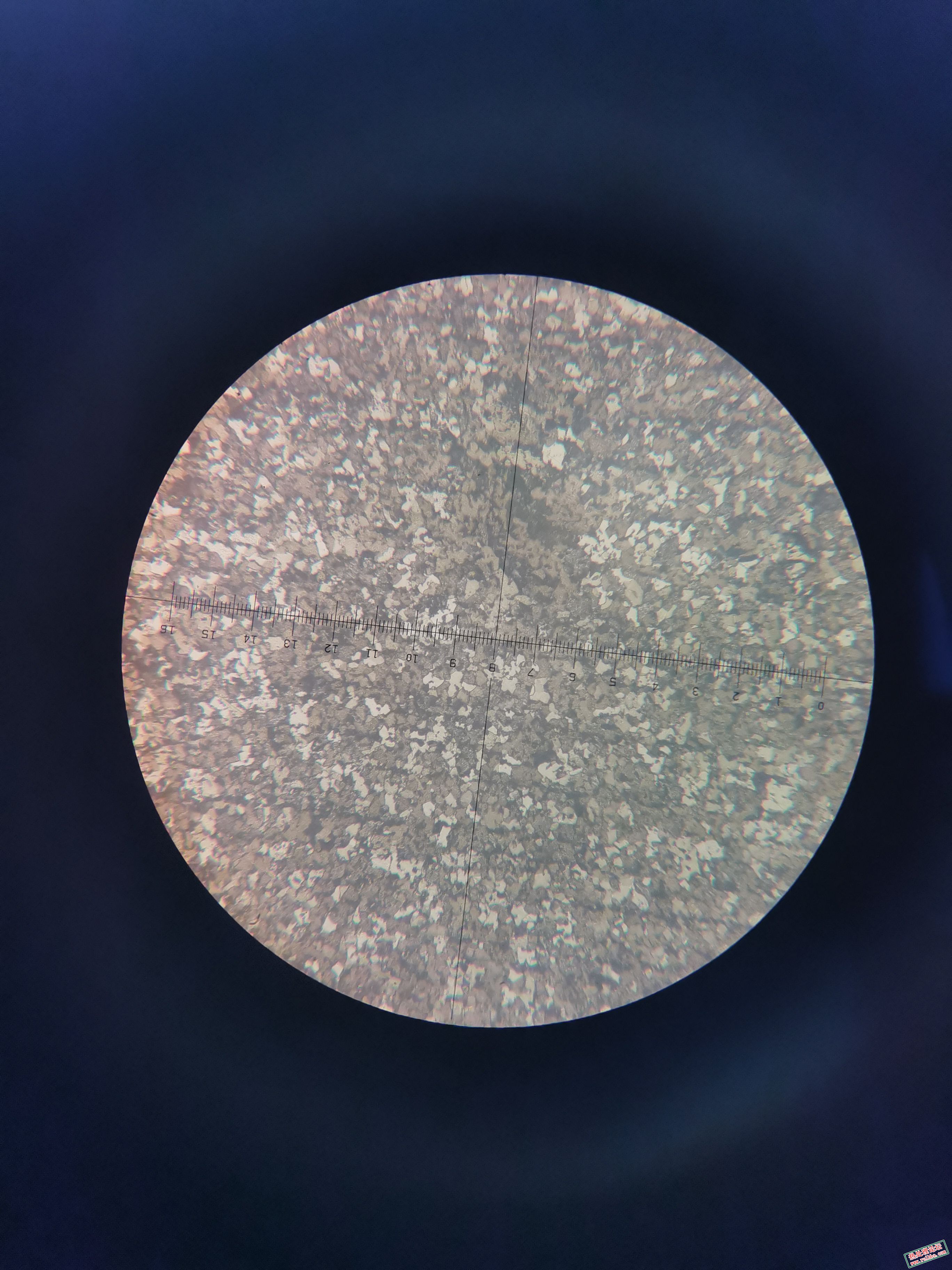 纵截面  200x 
