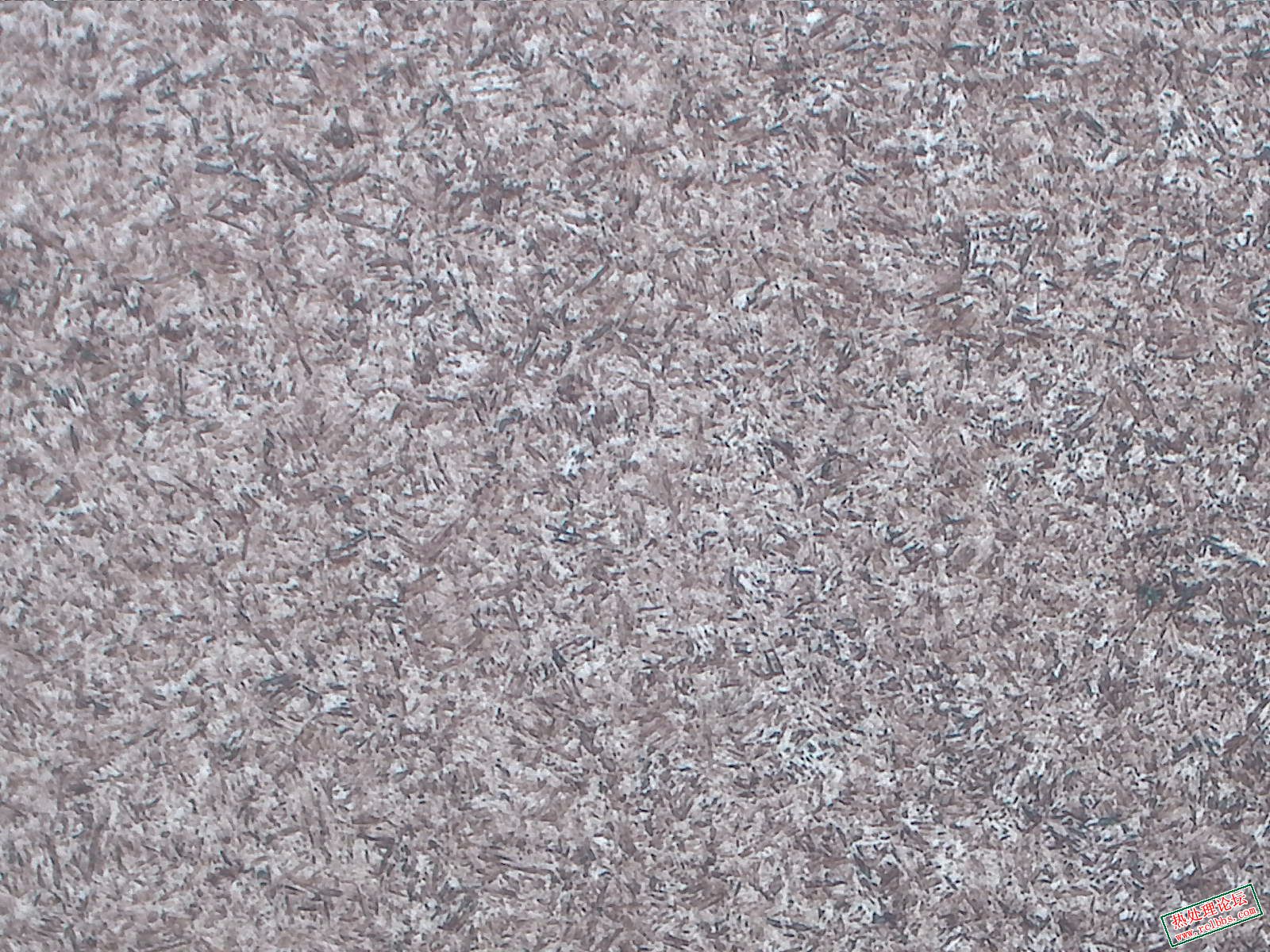 半圆-中频-100X-1-4级.jpg