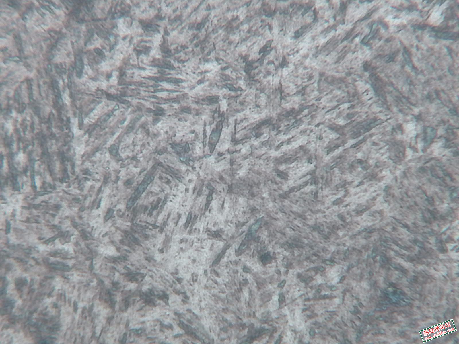 中频-400X-2.jpg
