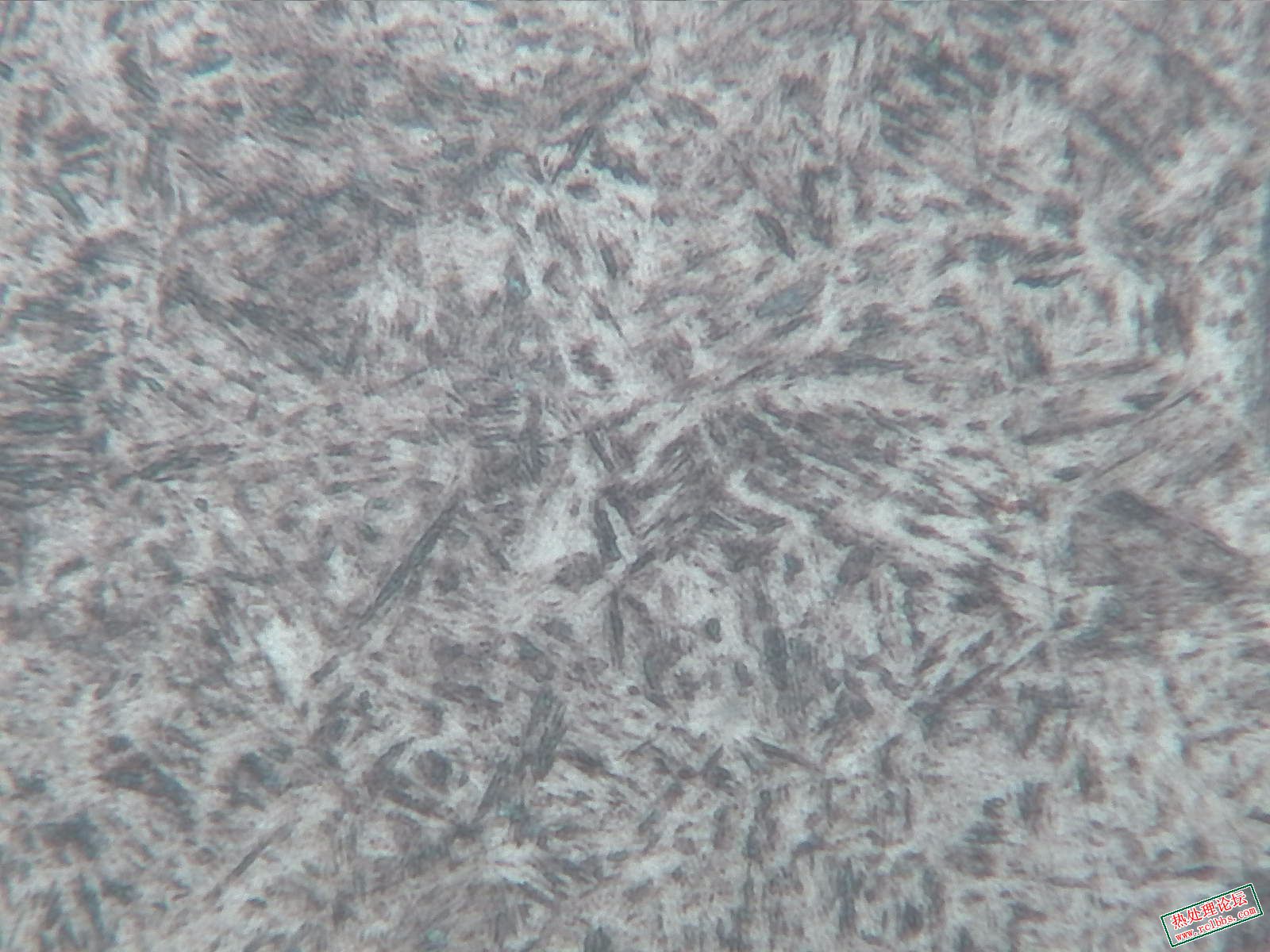 中频-400X-3.jpg