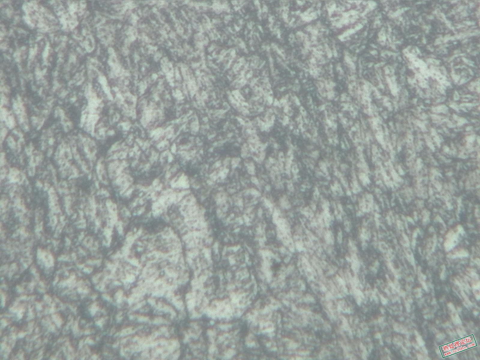 横-500X-3.jpg
