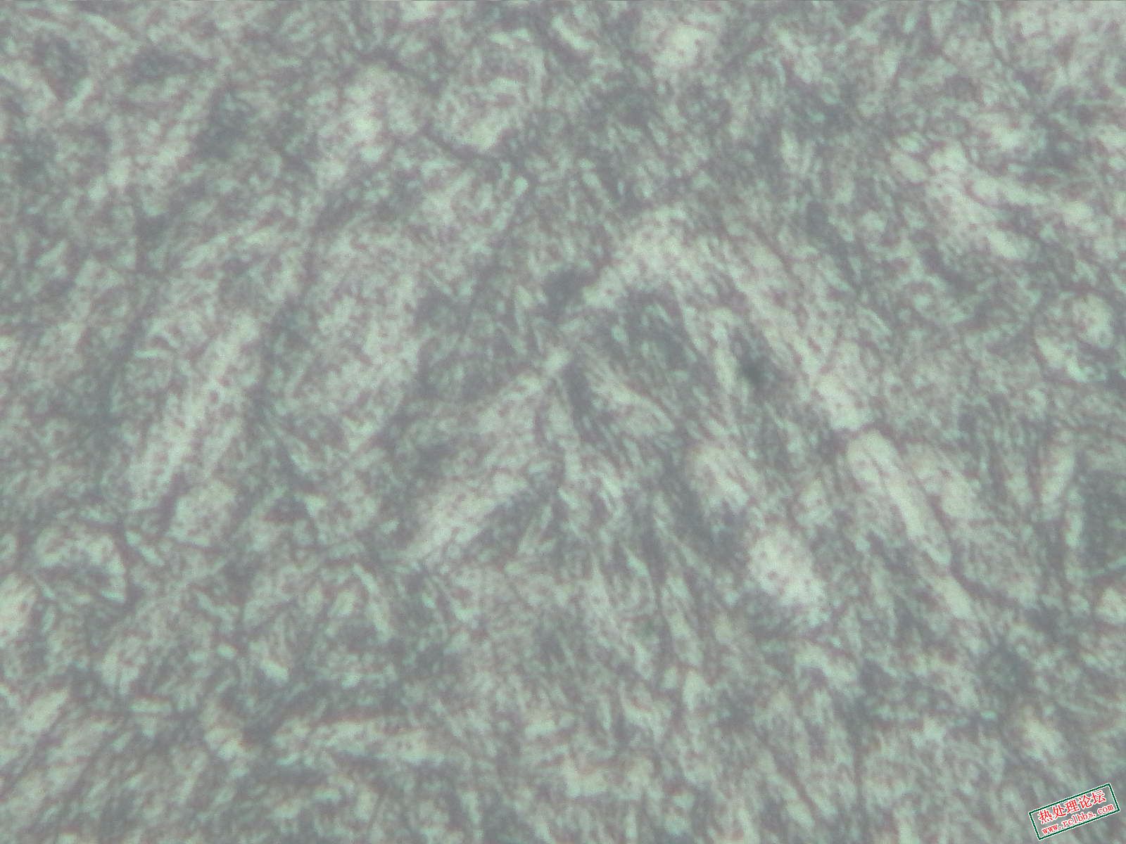 横-500X-4.jpg