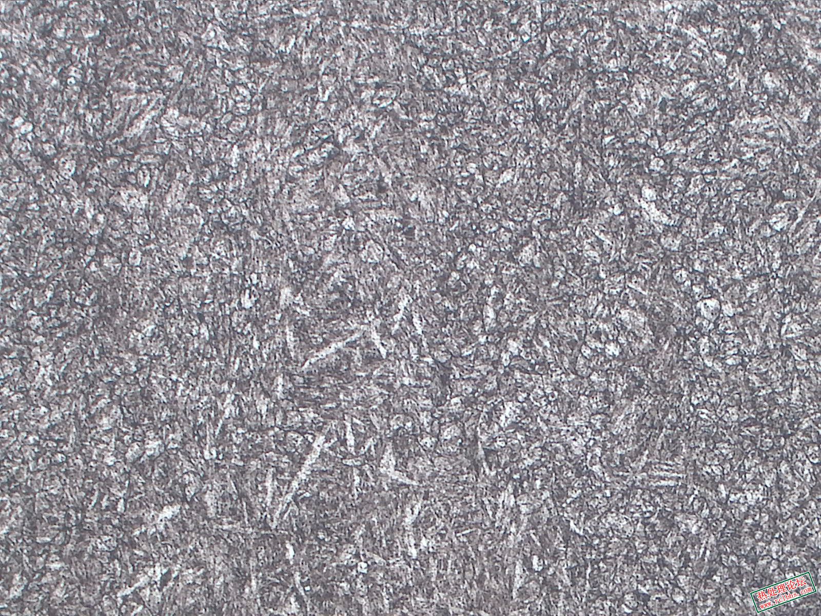 纵向-100X-4.jpg