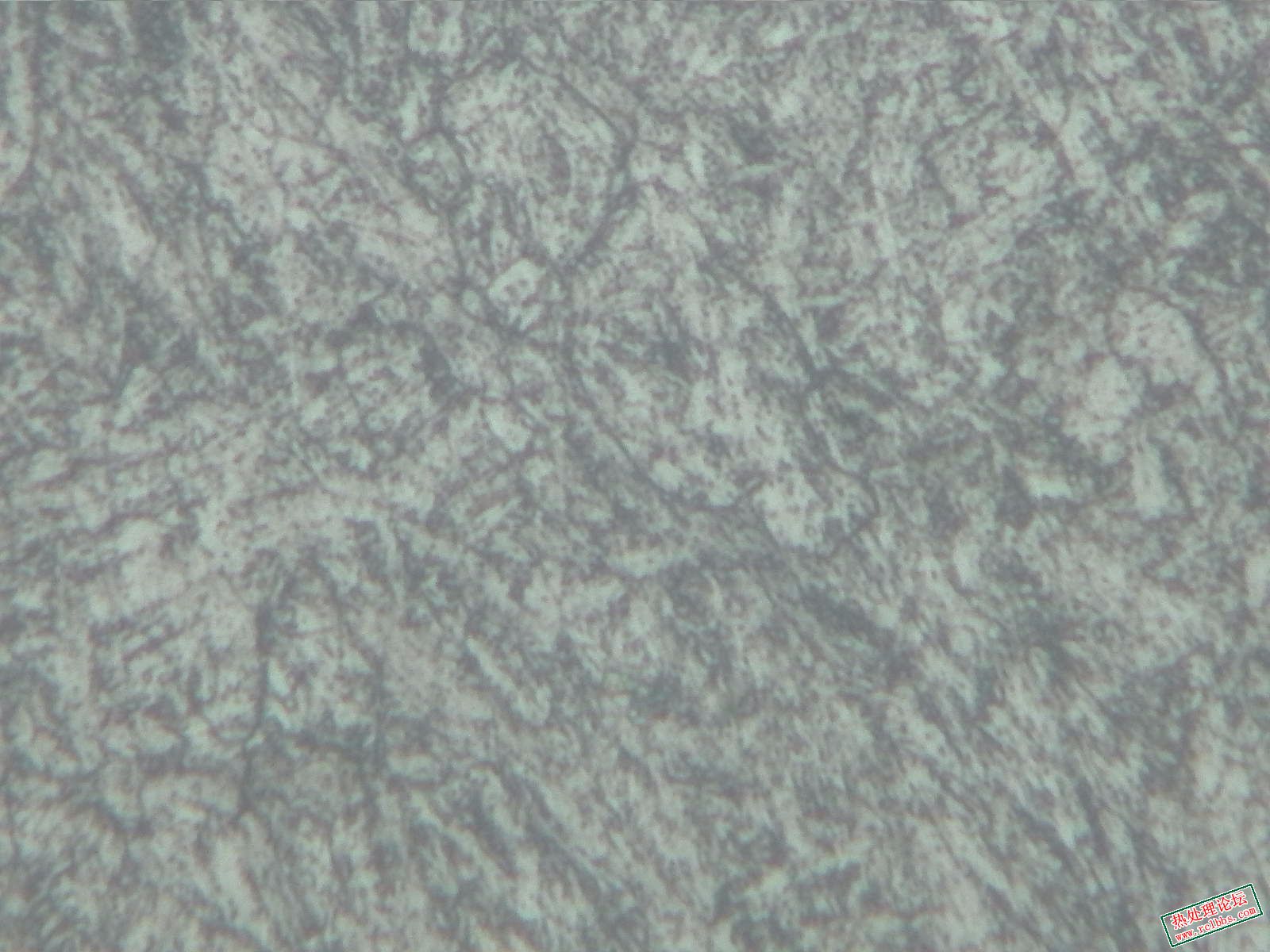 纵向-500X-4.jpg