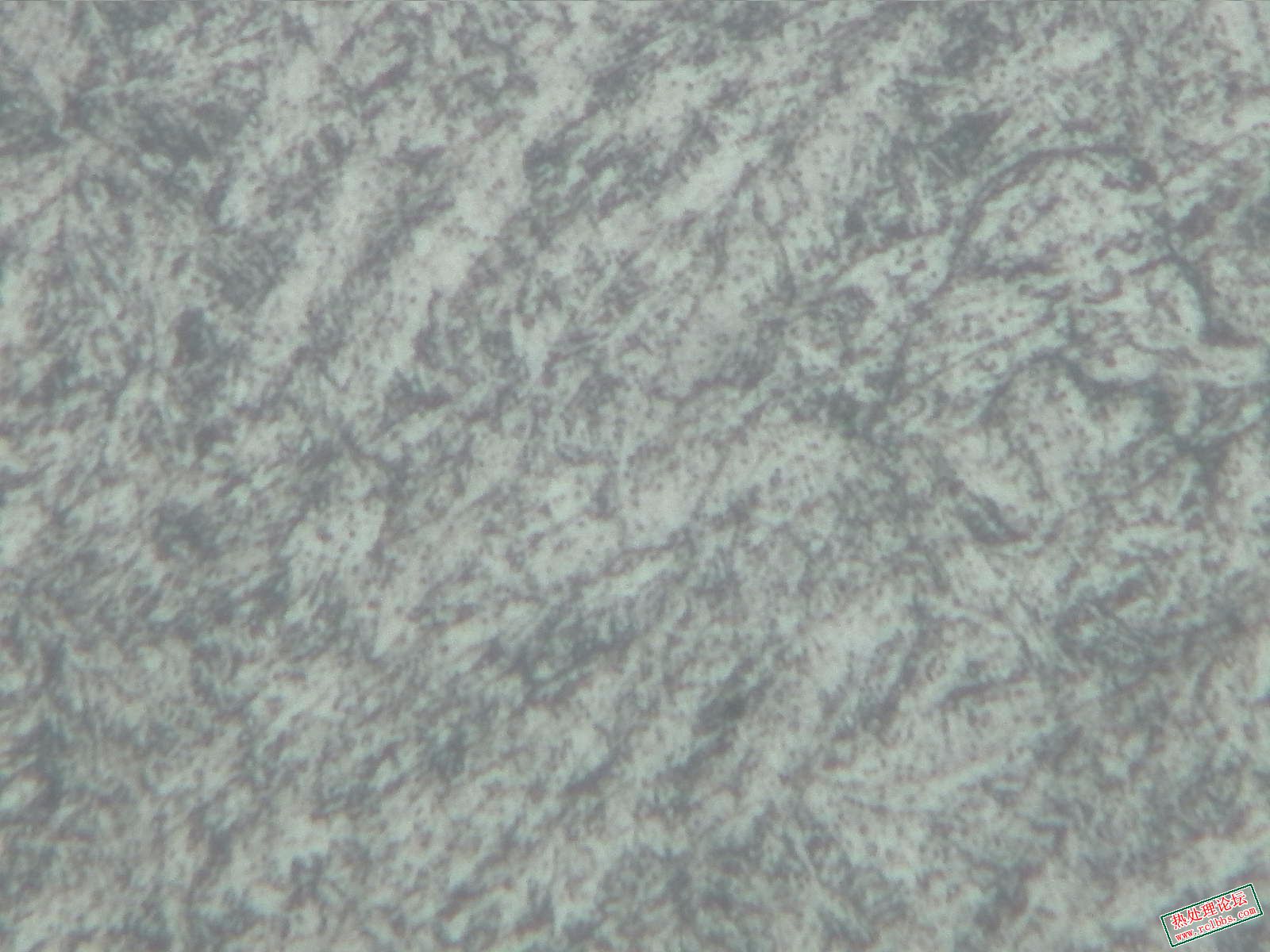 纵向-500X-6.jpg