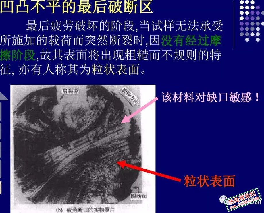 微信图片_20240804083642_看图啦.jpg