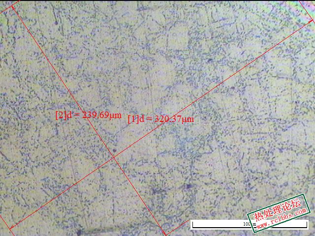 6号400倍截距法9级=.JPG