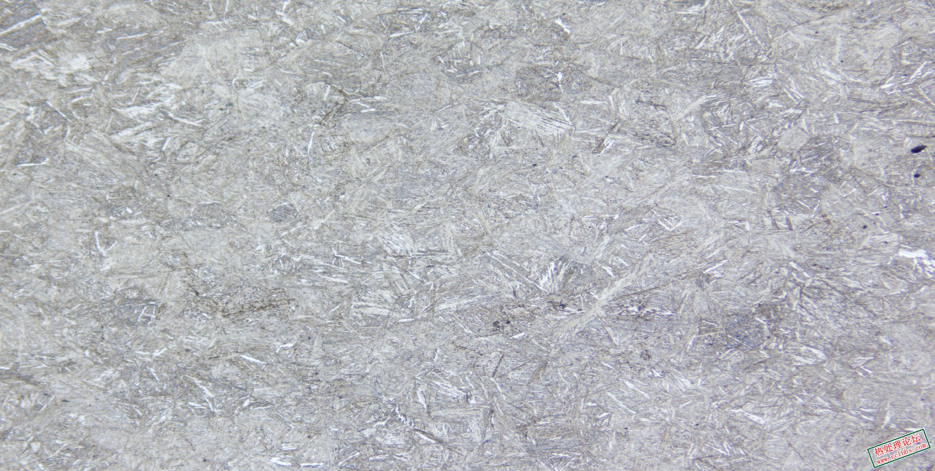 P20  200X基体组织.jpg