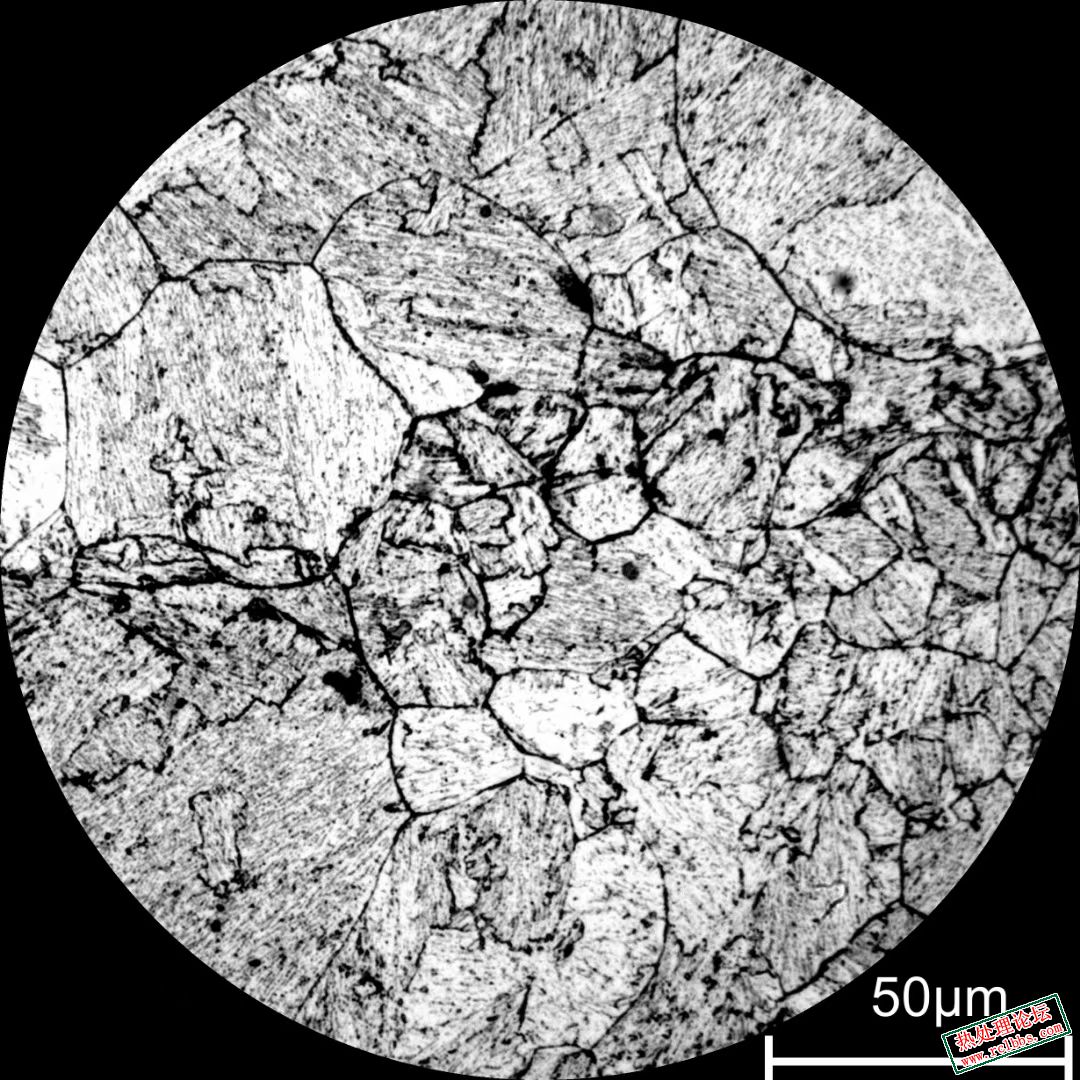 mmexport1724805806017.jpg