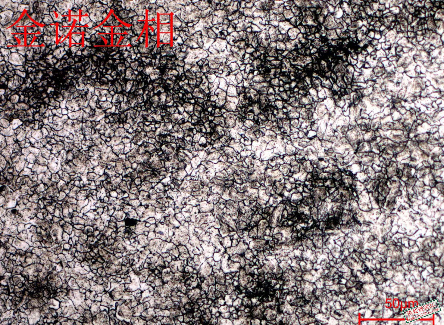 mmexport1724805769632.jpg