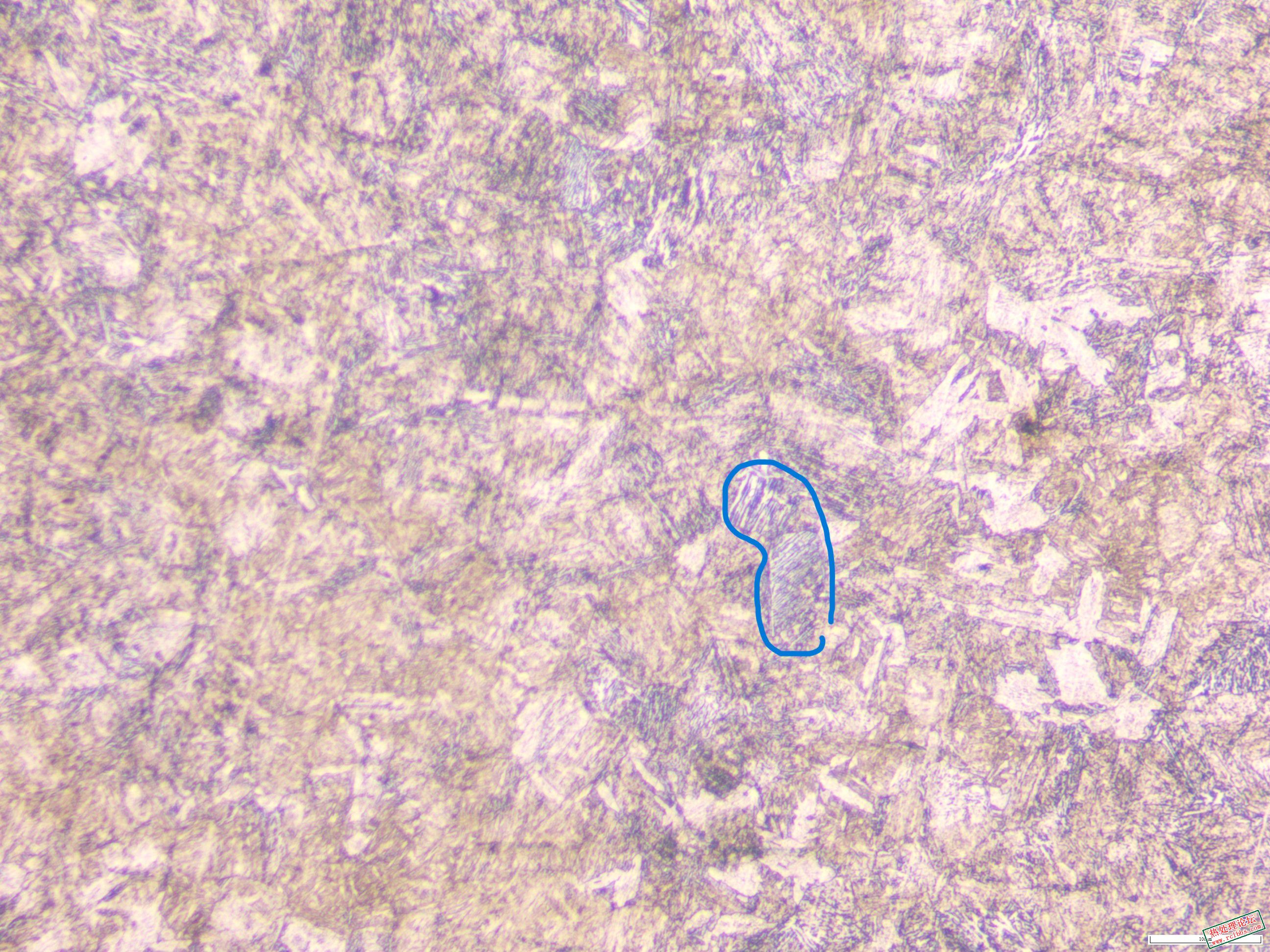 55T卸扣200x-1  羽毛状上贝氏体 - 副本.JPG