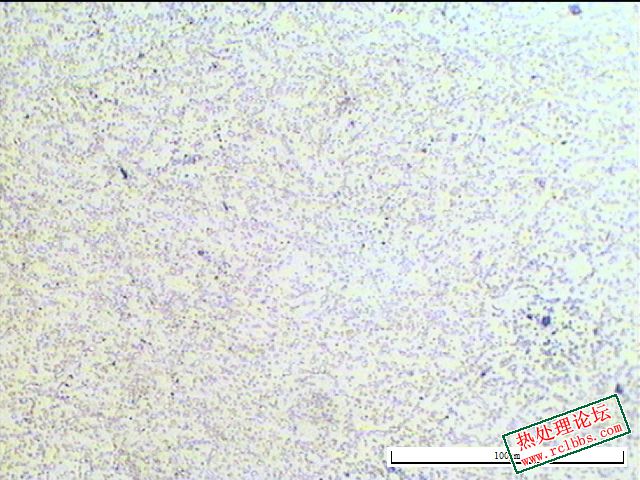 4号2cr13（815炉冷6h） 弥散分布碳化物.JPG